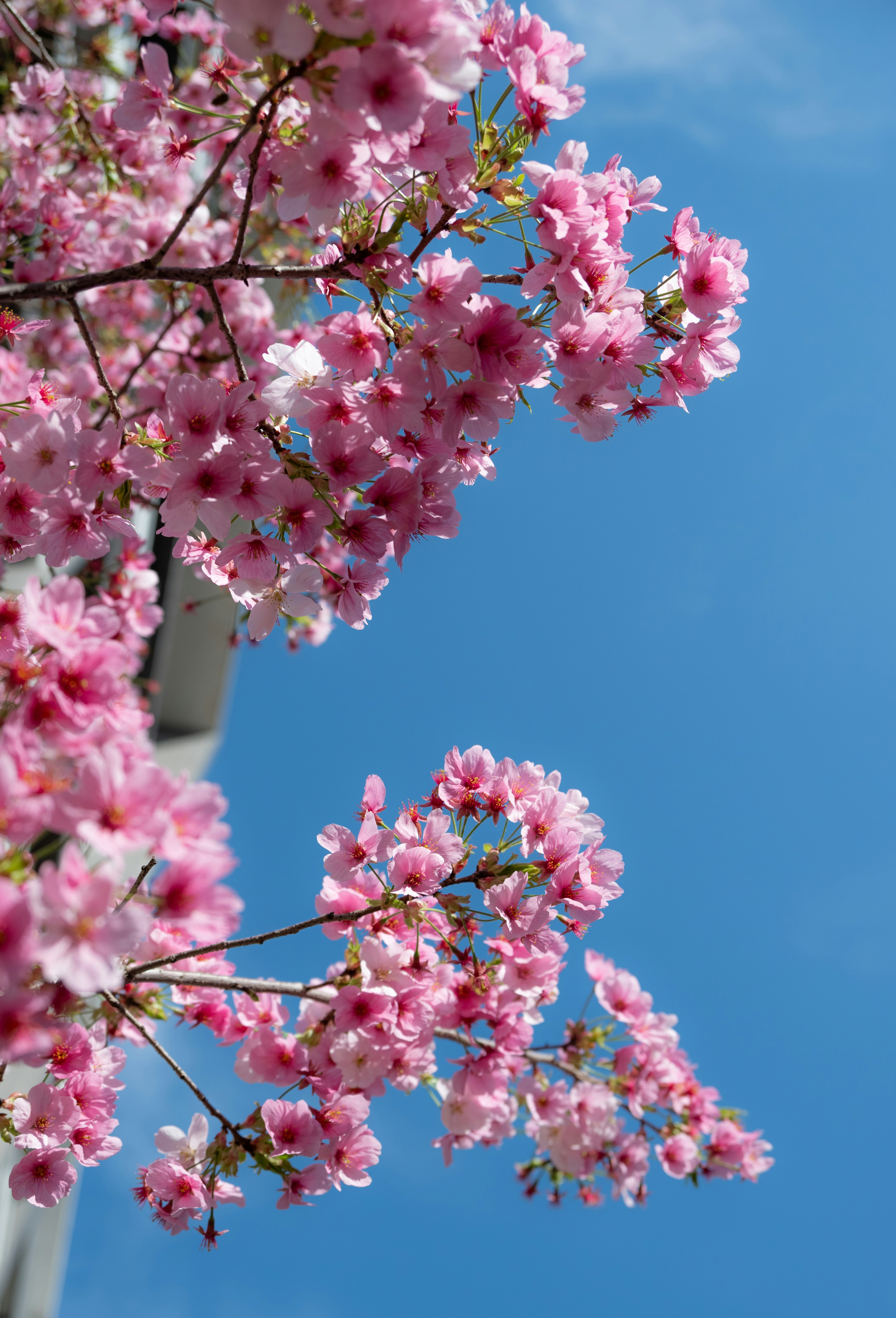 Photo by nikol_royce