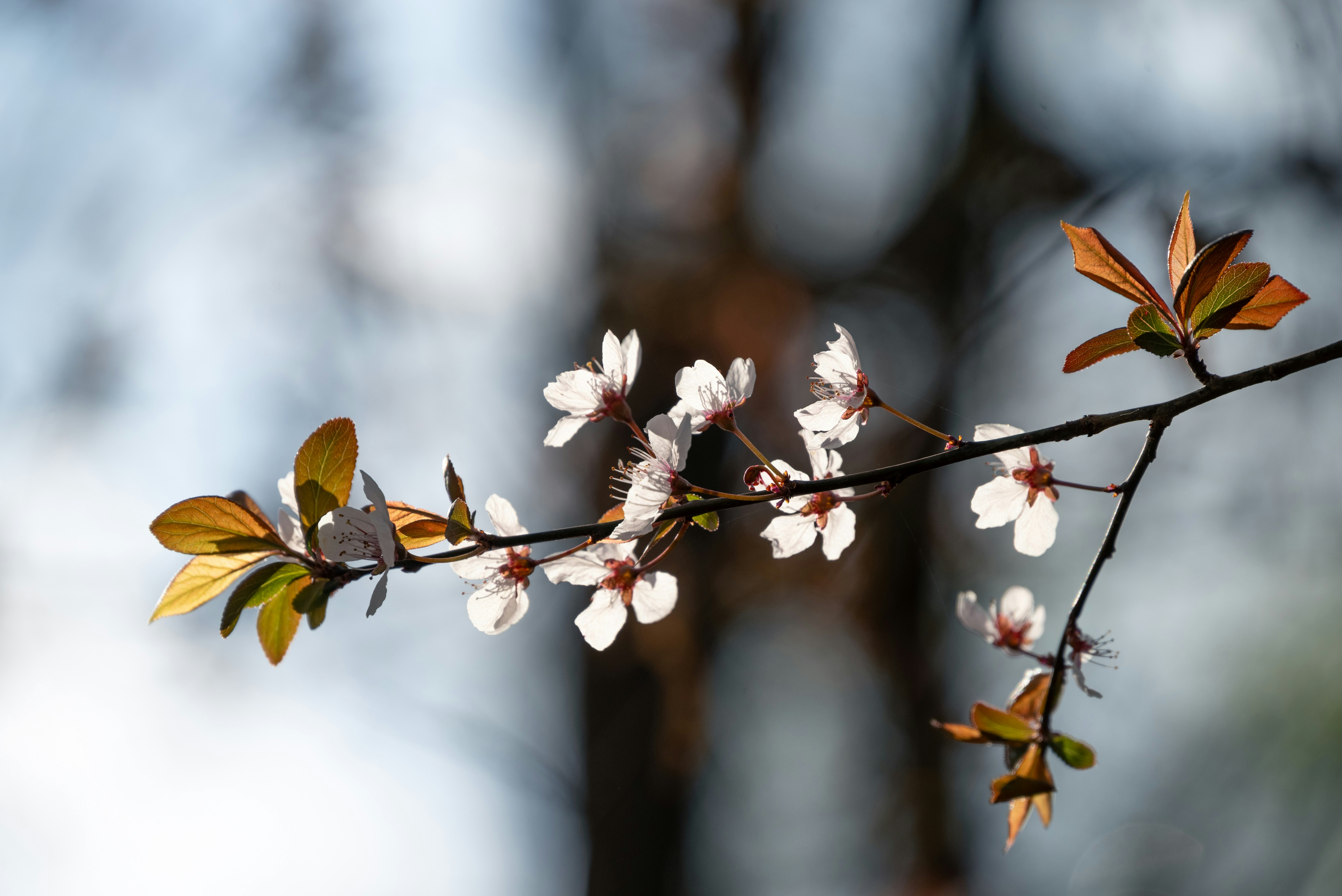 Photo by nikol_royce