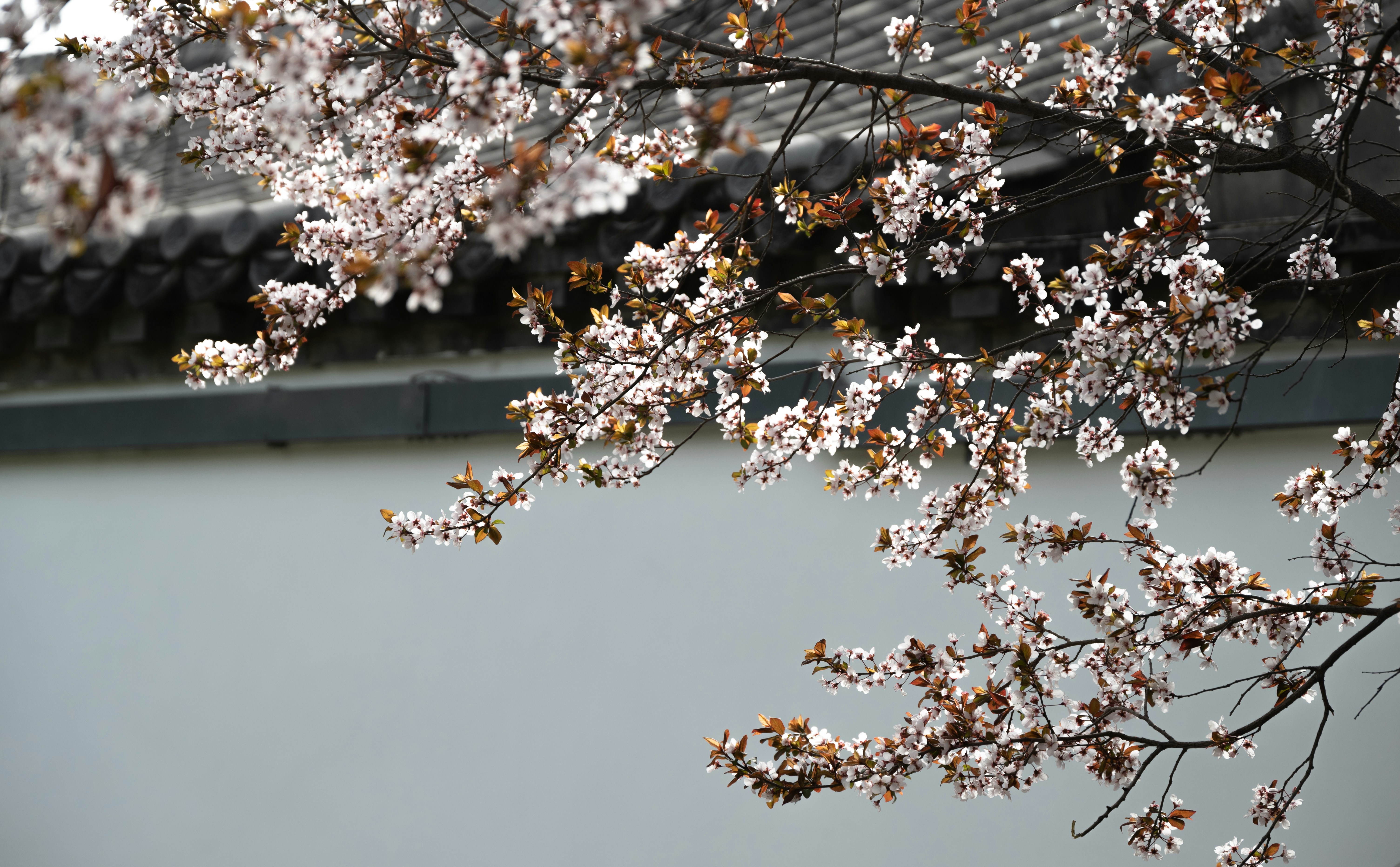 Photo by nikol_royce