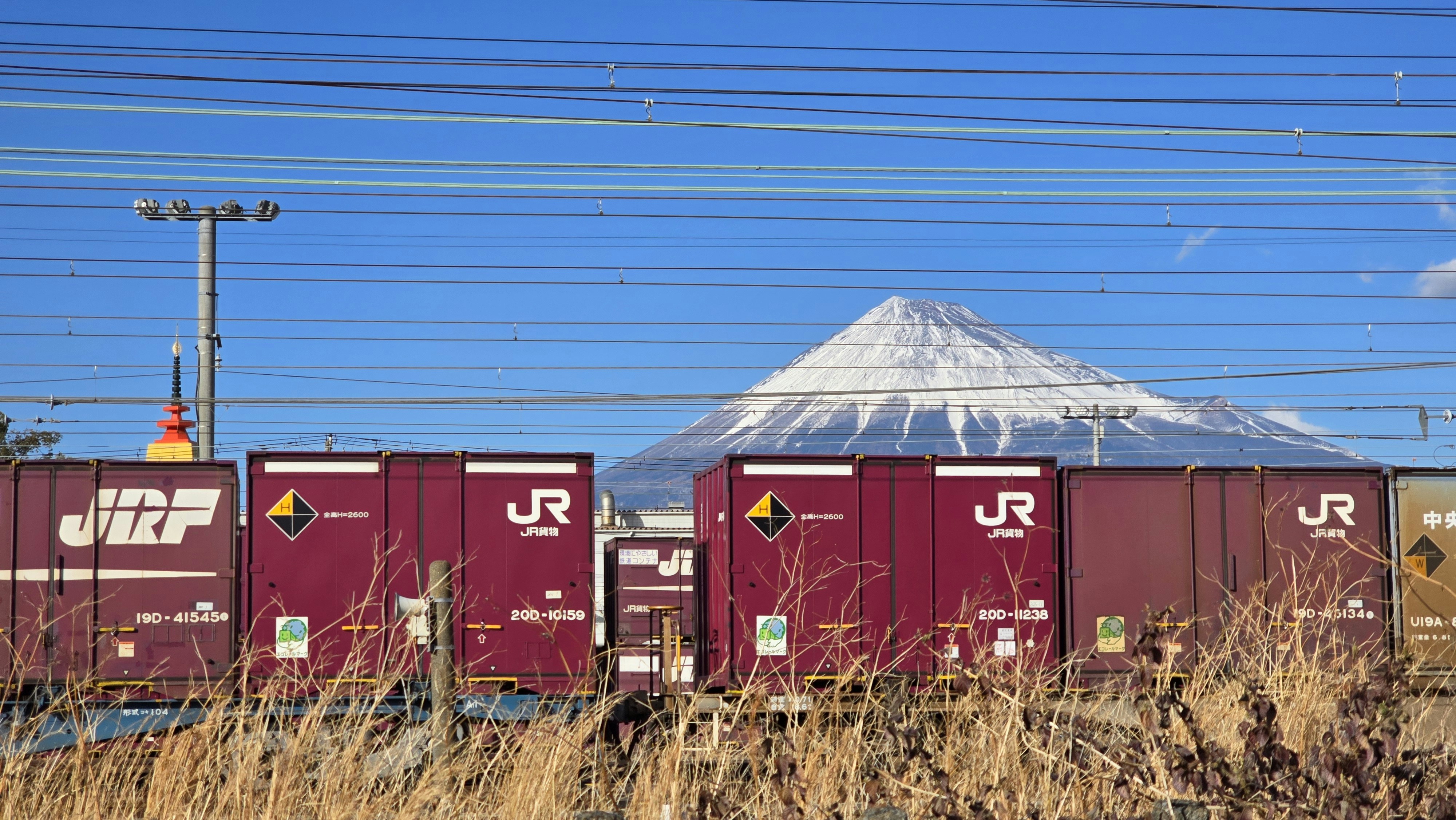Los vagones de tren pasan por el monte Fuji en una escena vibrante.