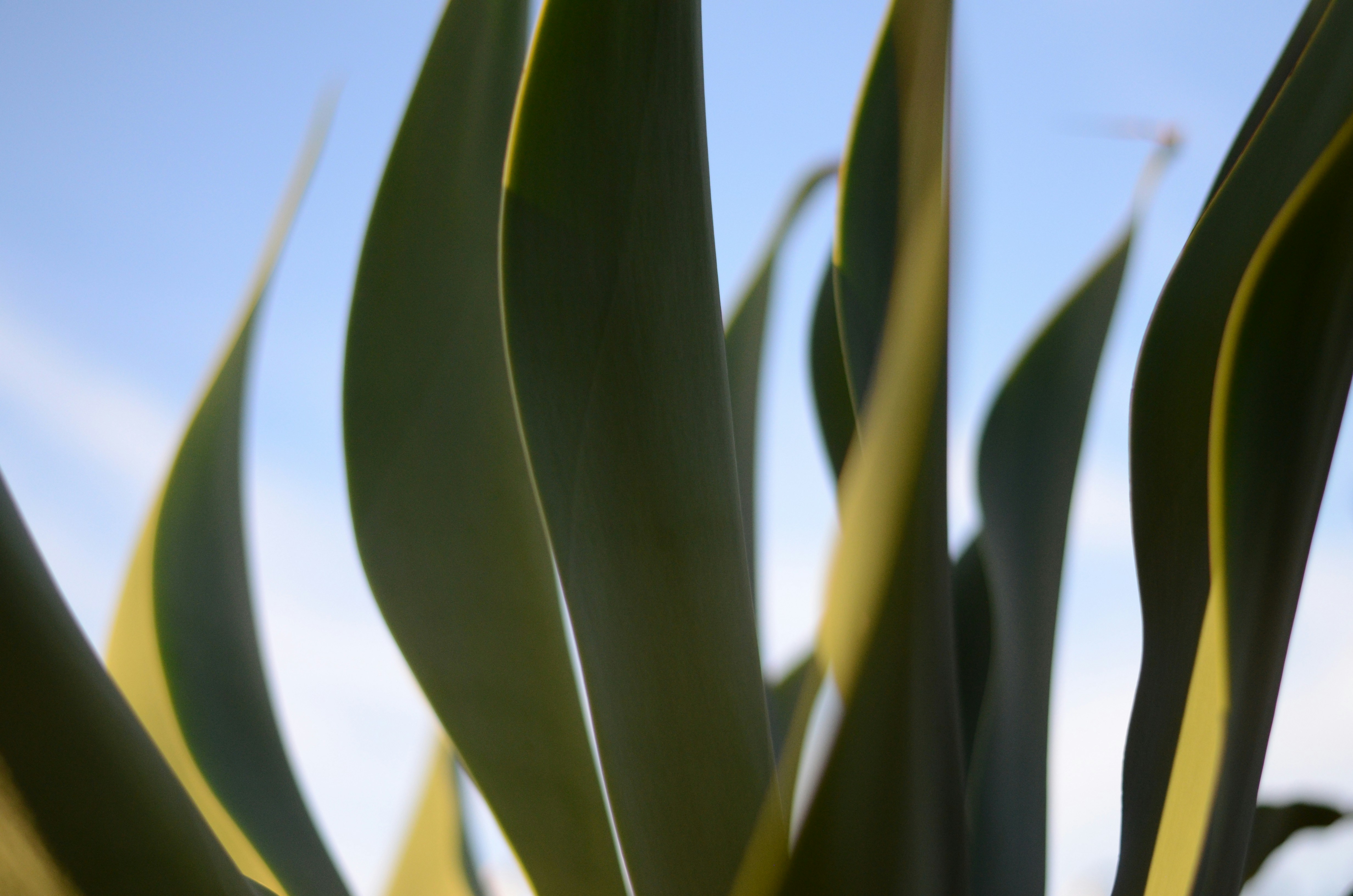 Photo by andreakest2018