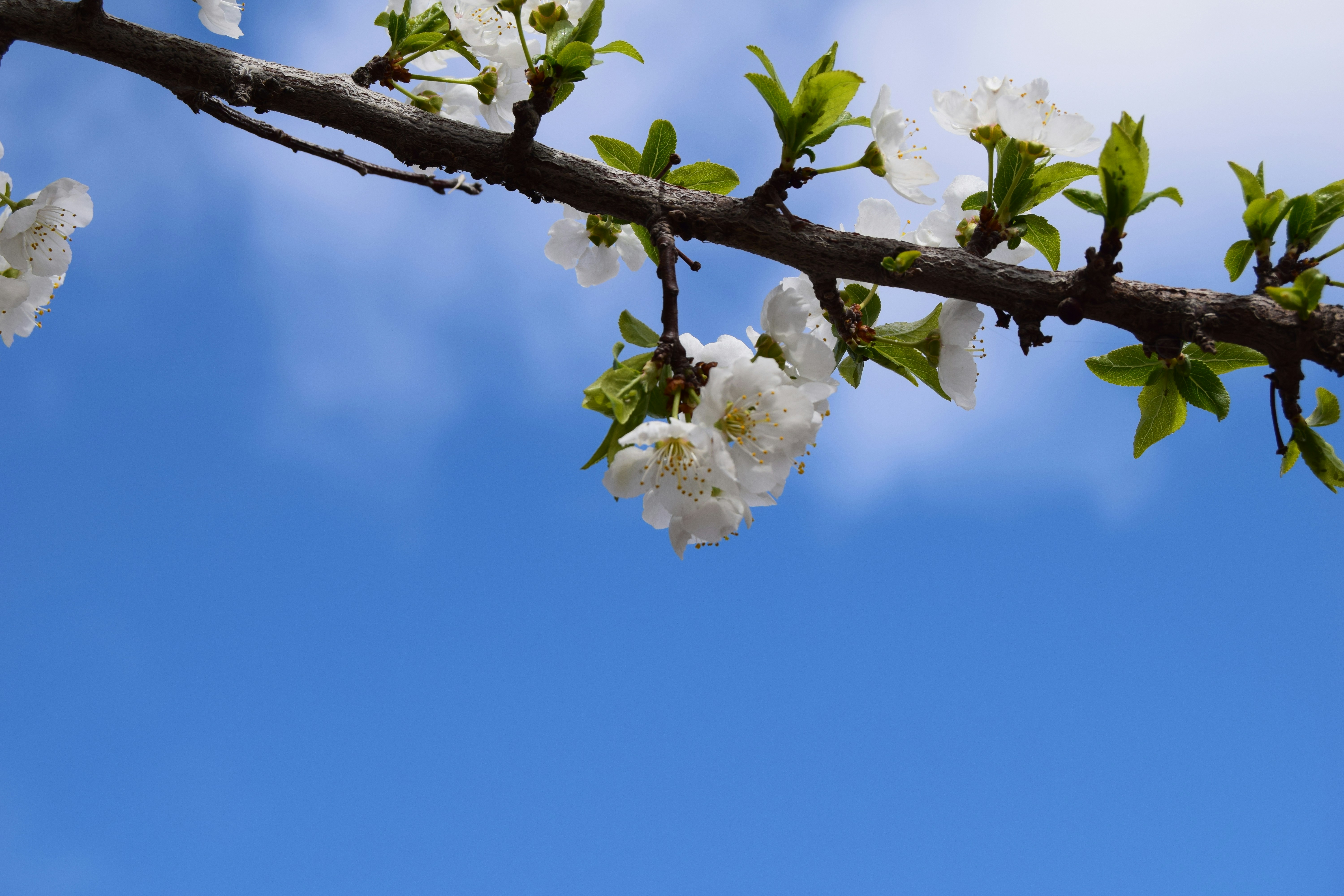 Photo by jsadullayev