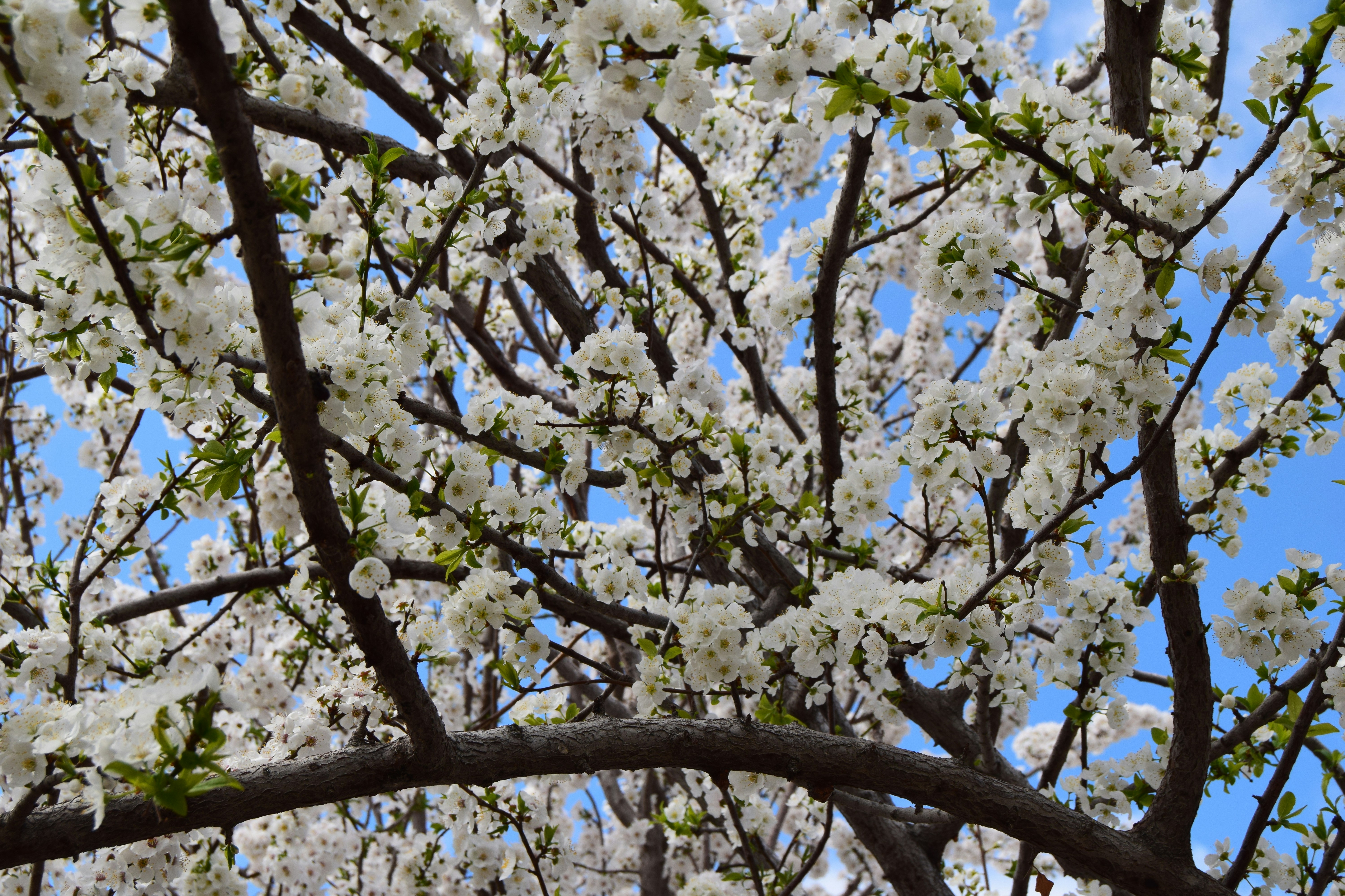 Photo by jsadullayev