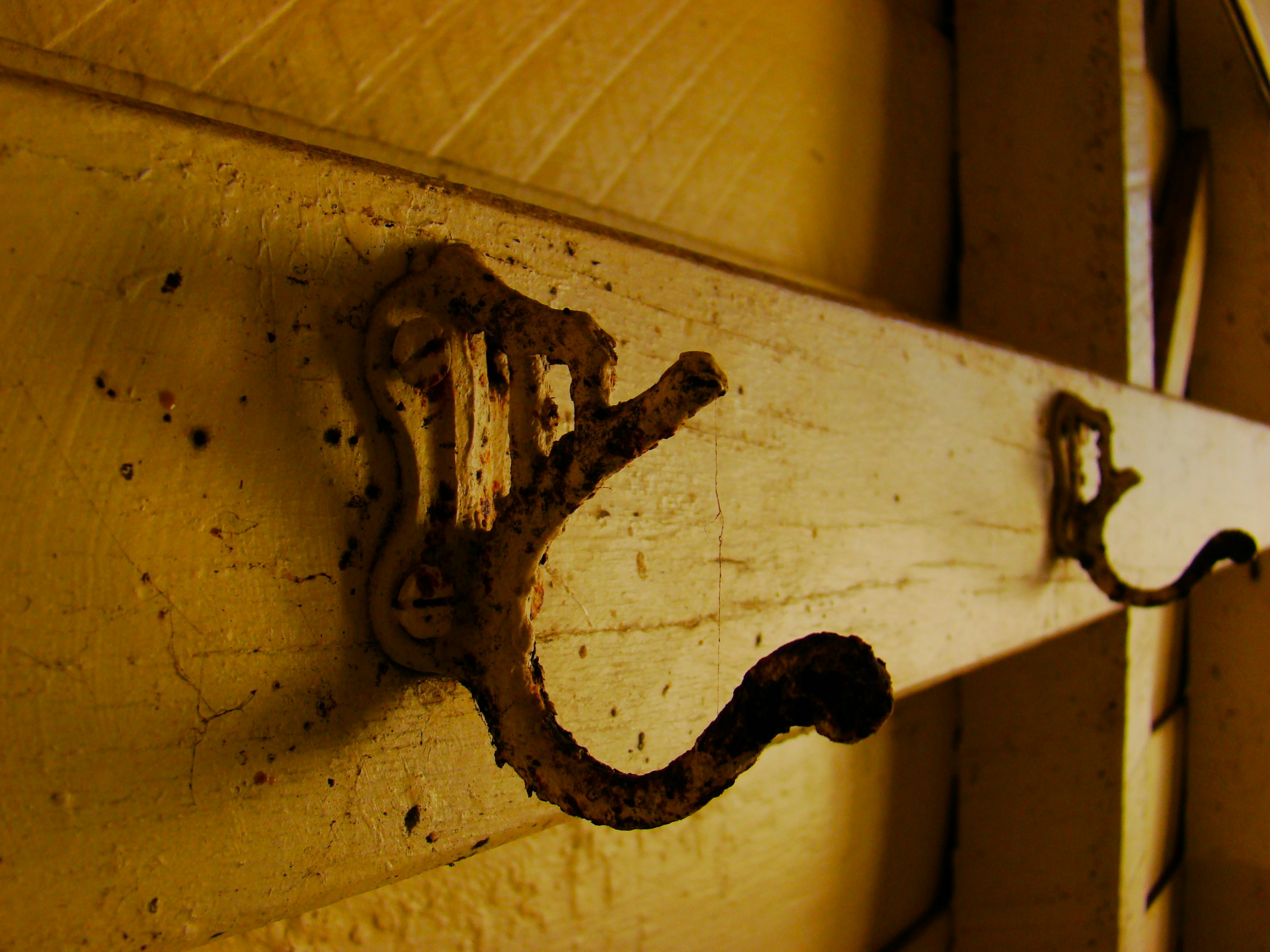 Photo by photoken123