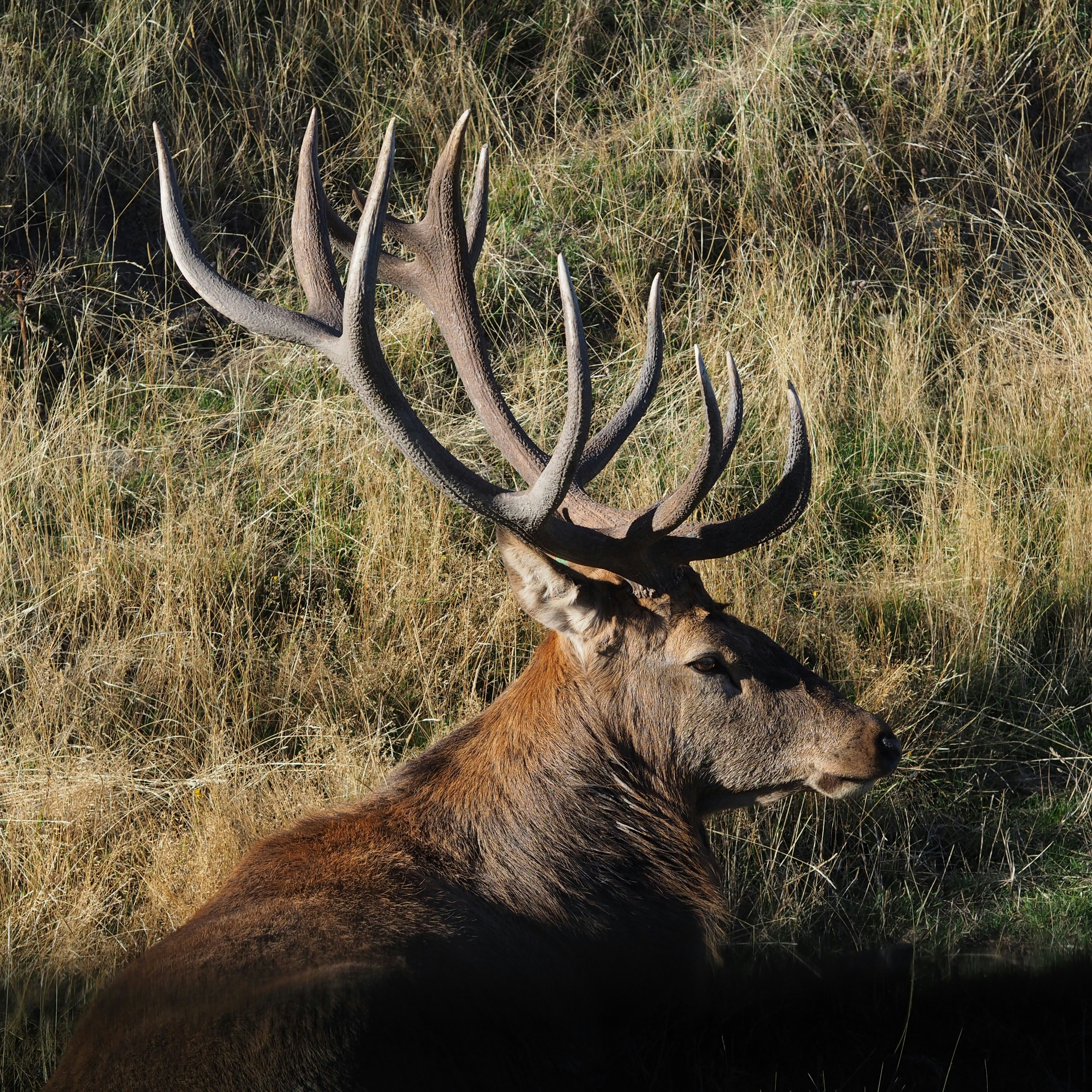 Photo by hehehemachine