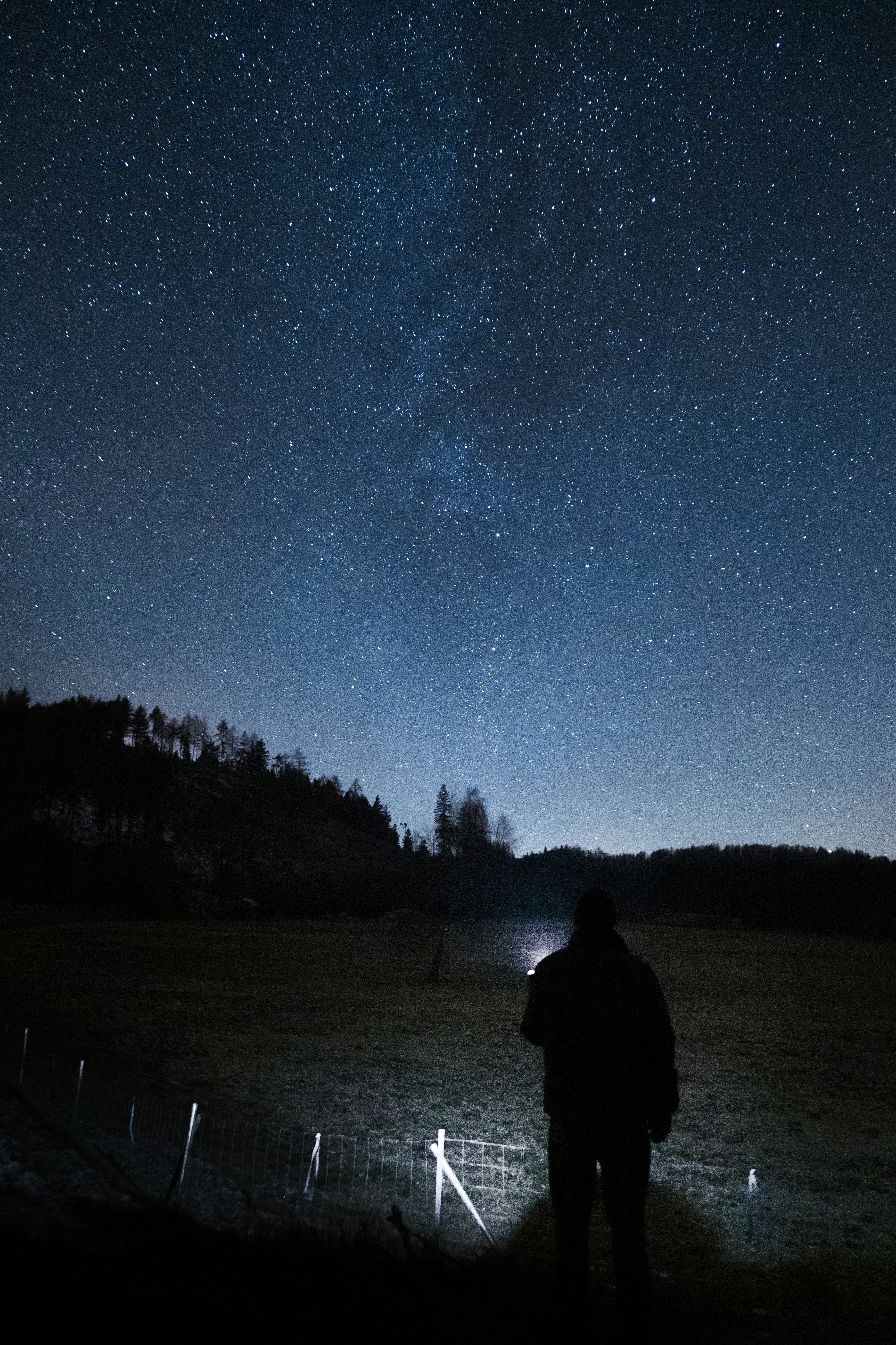 Photo by nikita_pishchugin