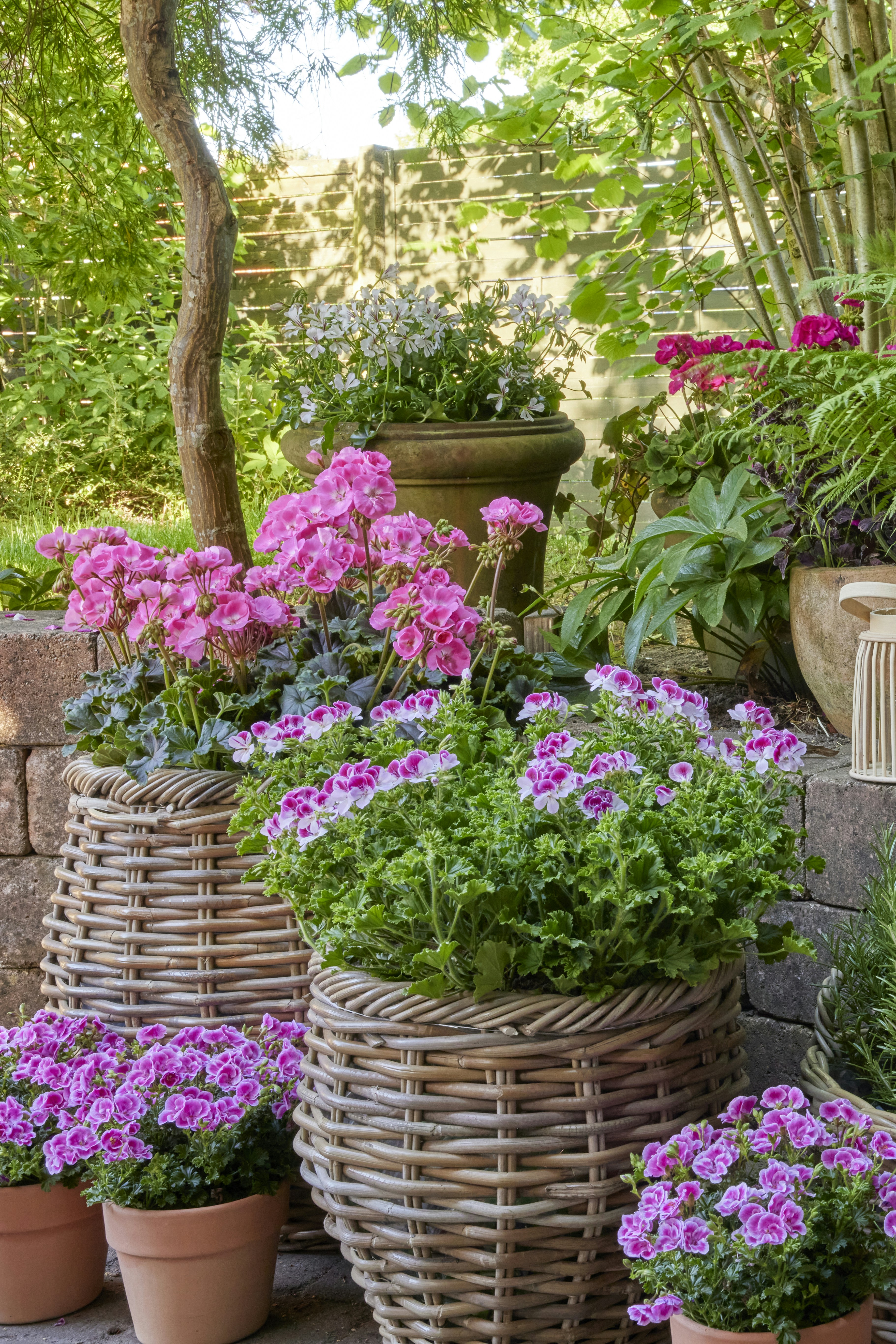 Garden design and planting