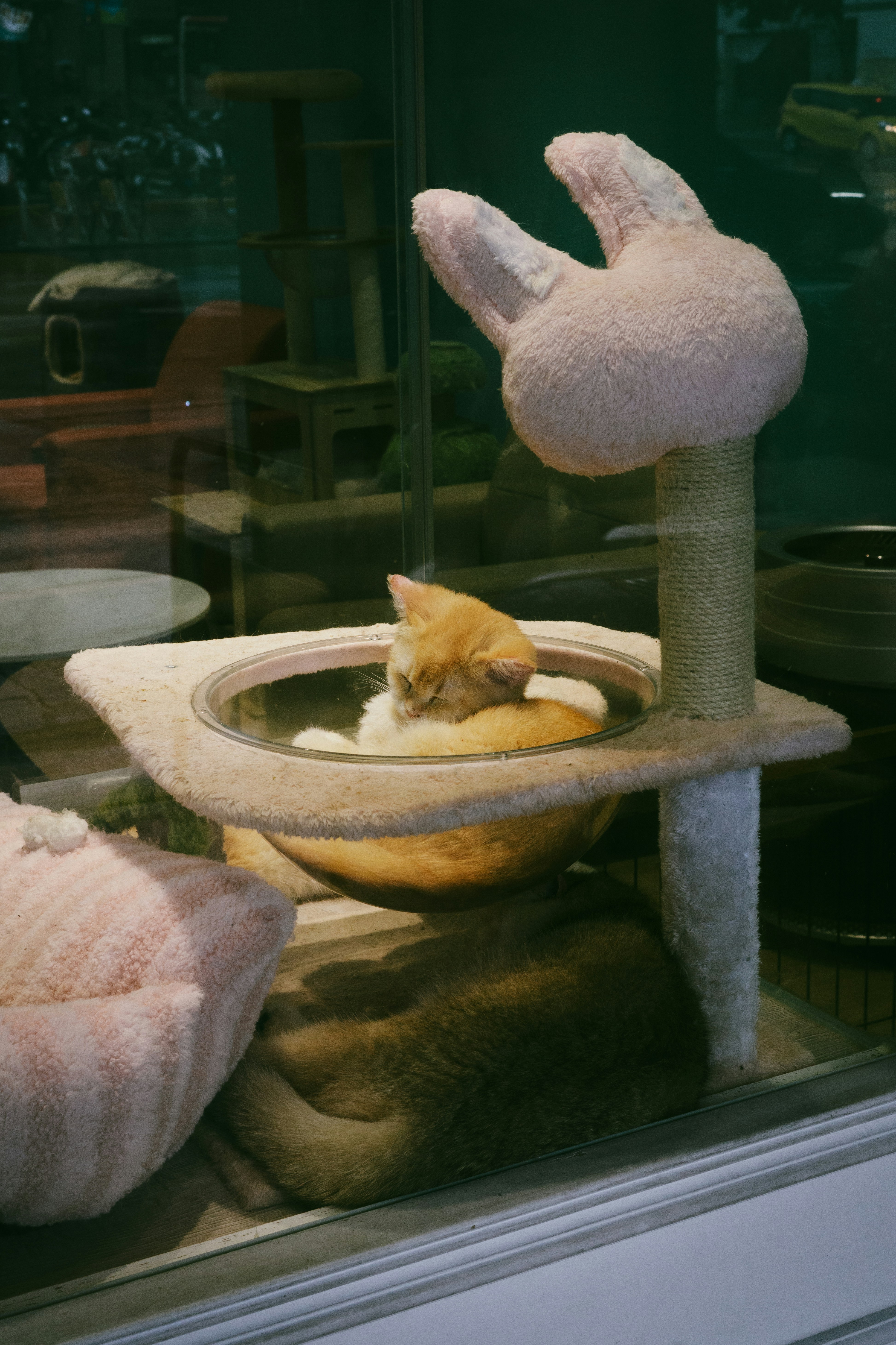 Yummy Bowl Springfield Il Menu