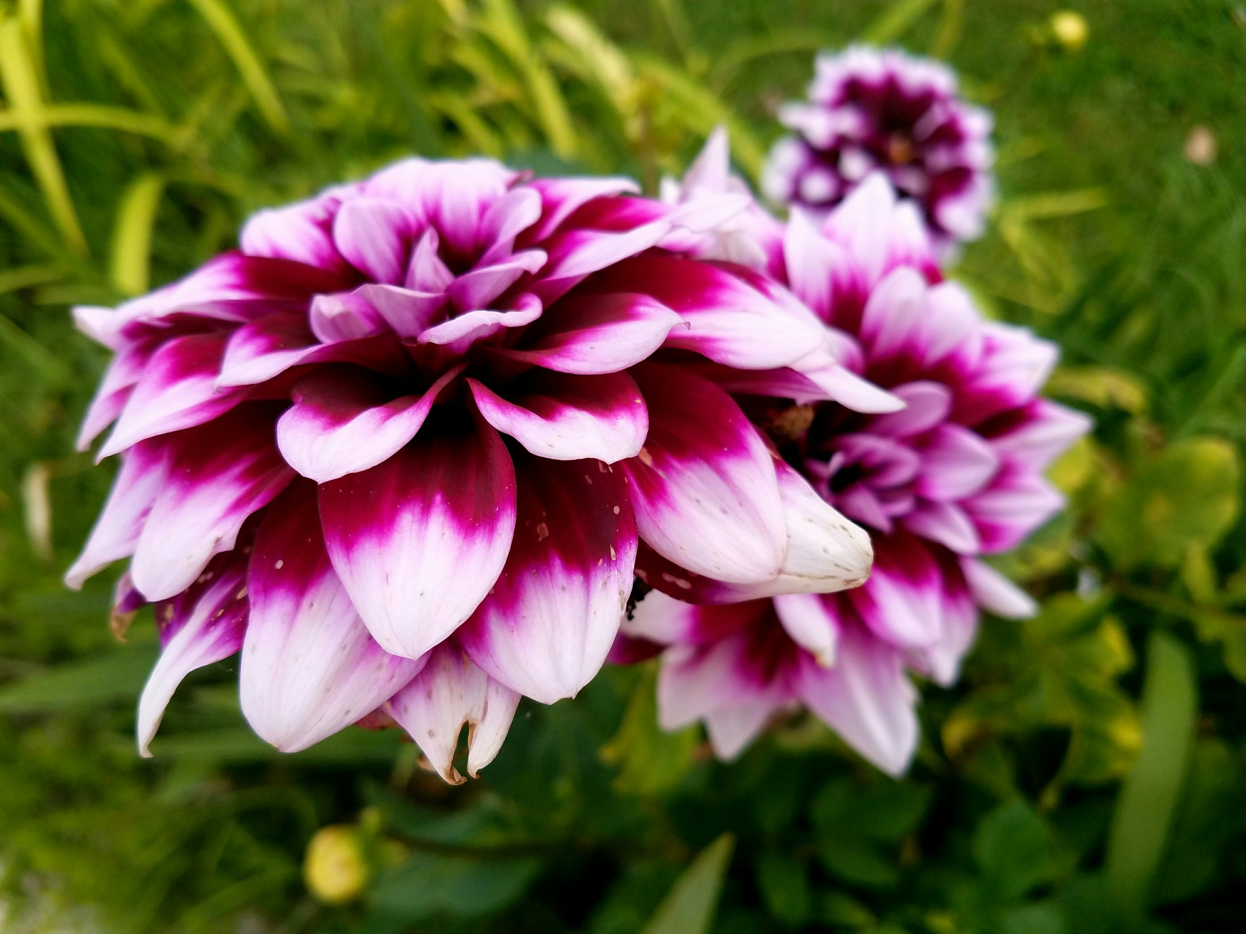 Photo by crystalcl0ud