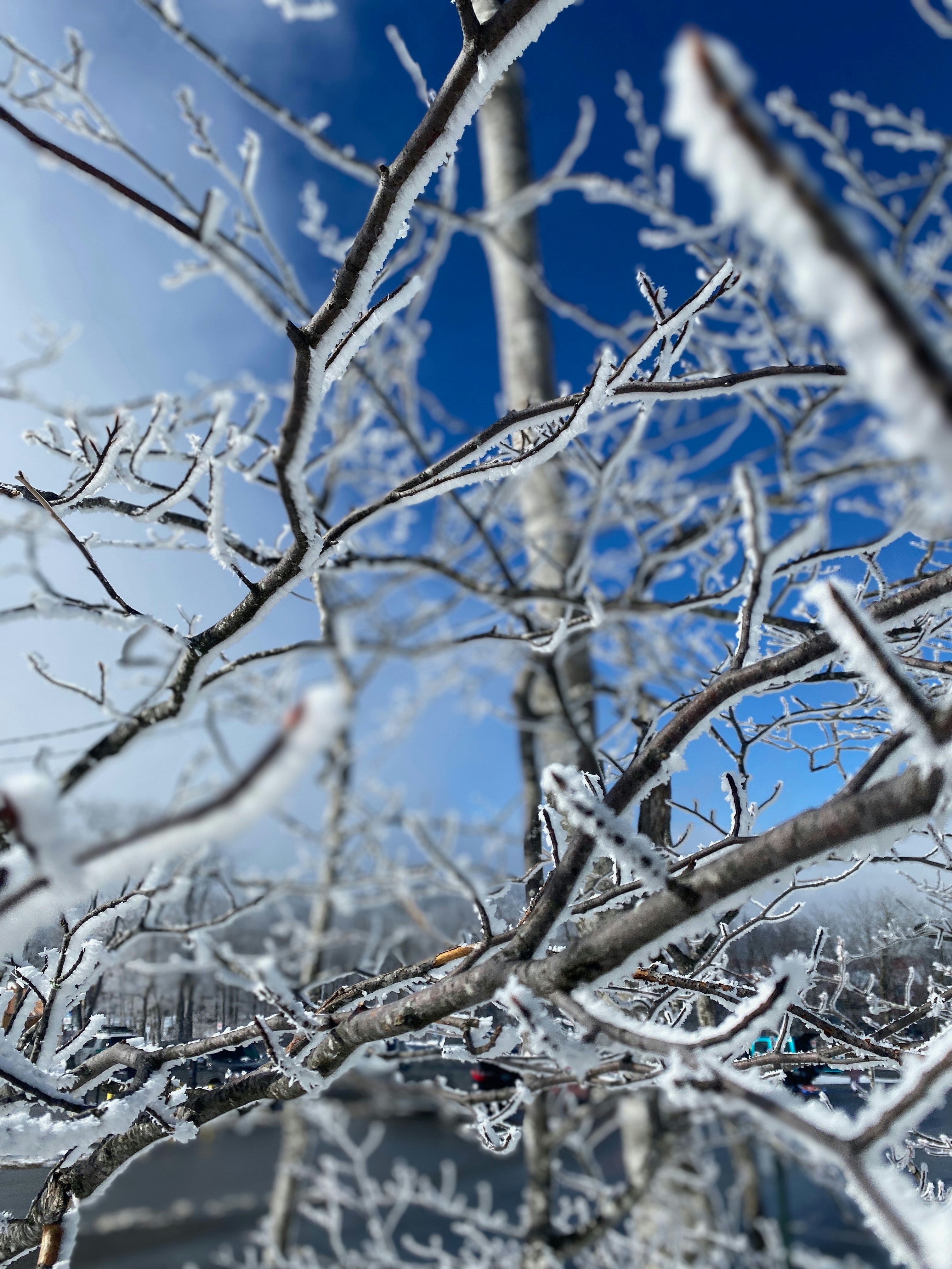 Photo by flyingphoenix