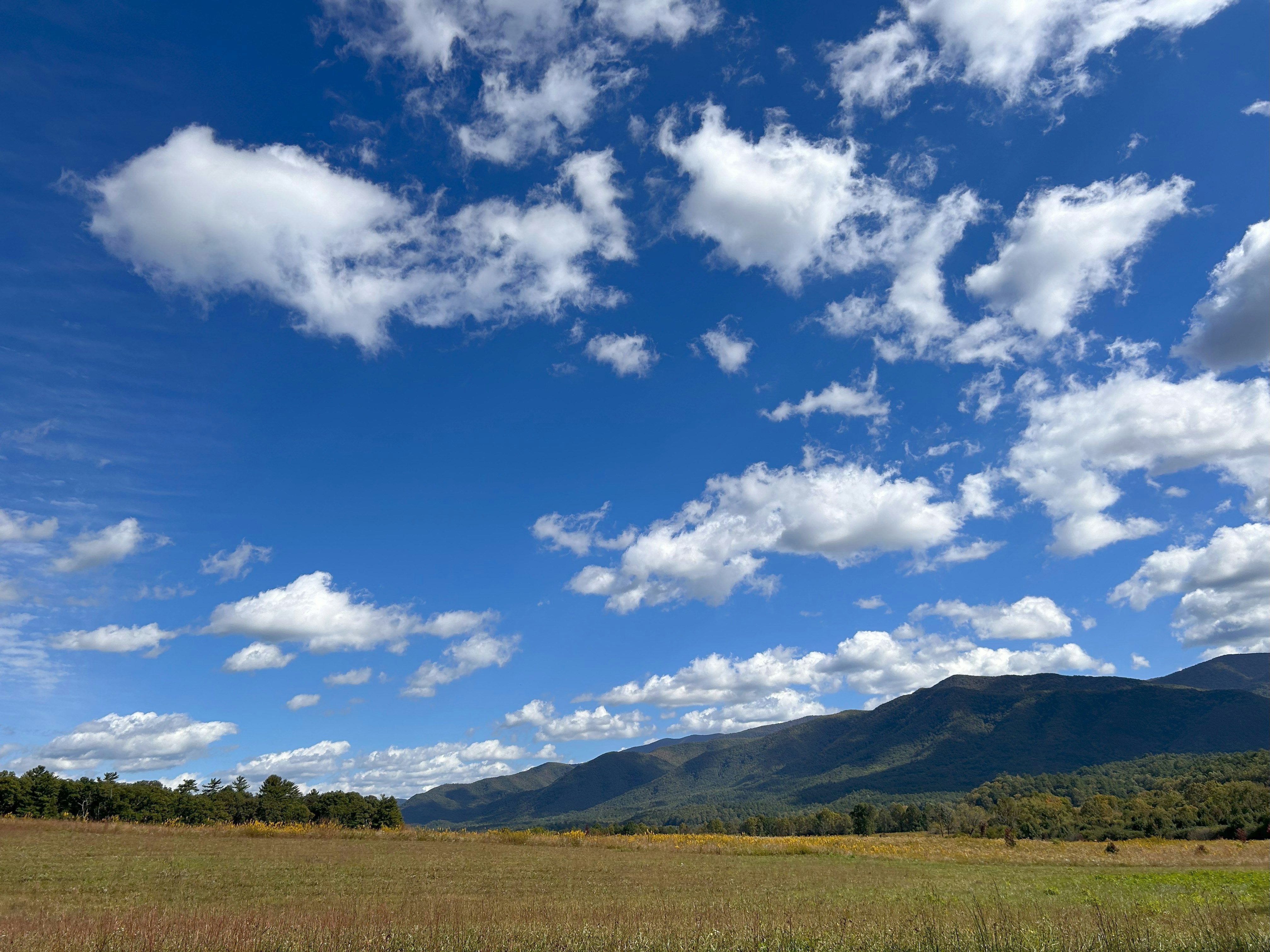 Photo by crystalcl0ud