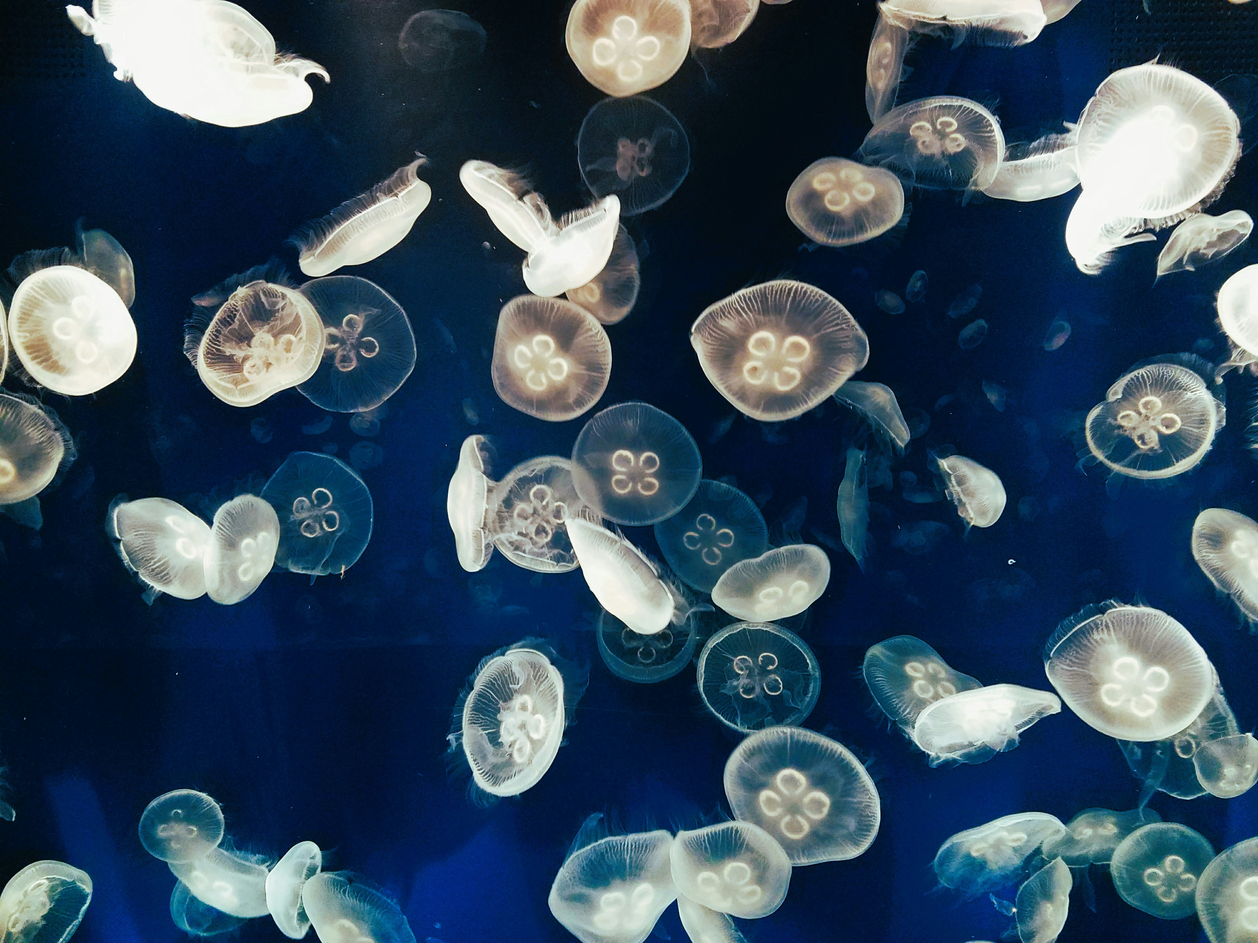 Photo by crystalcl0ud