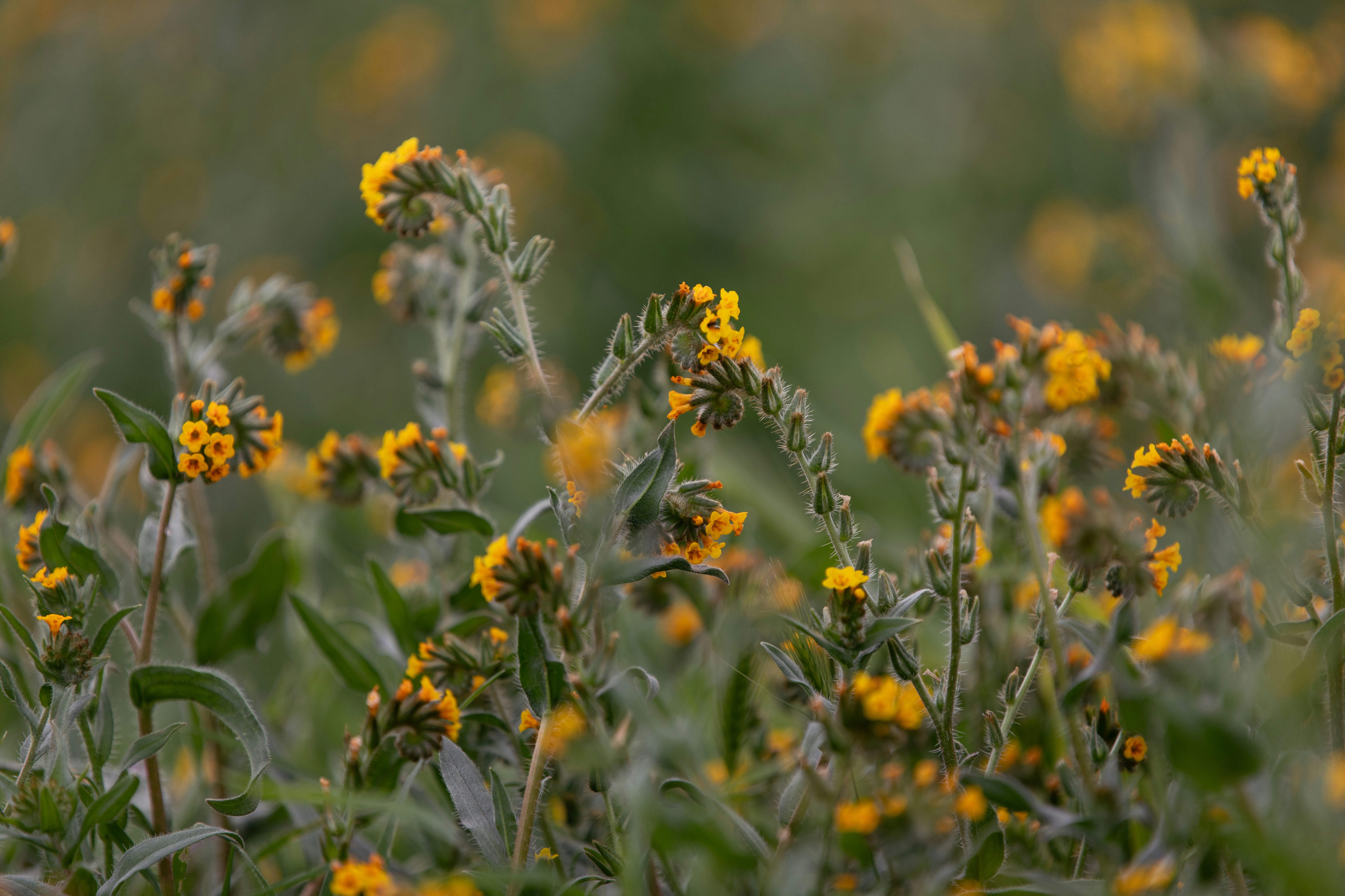 Photo by sixteenmilesout