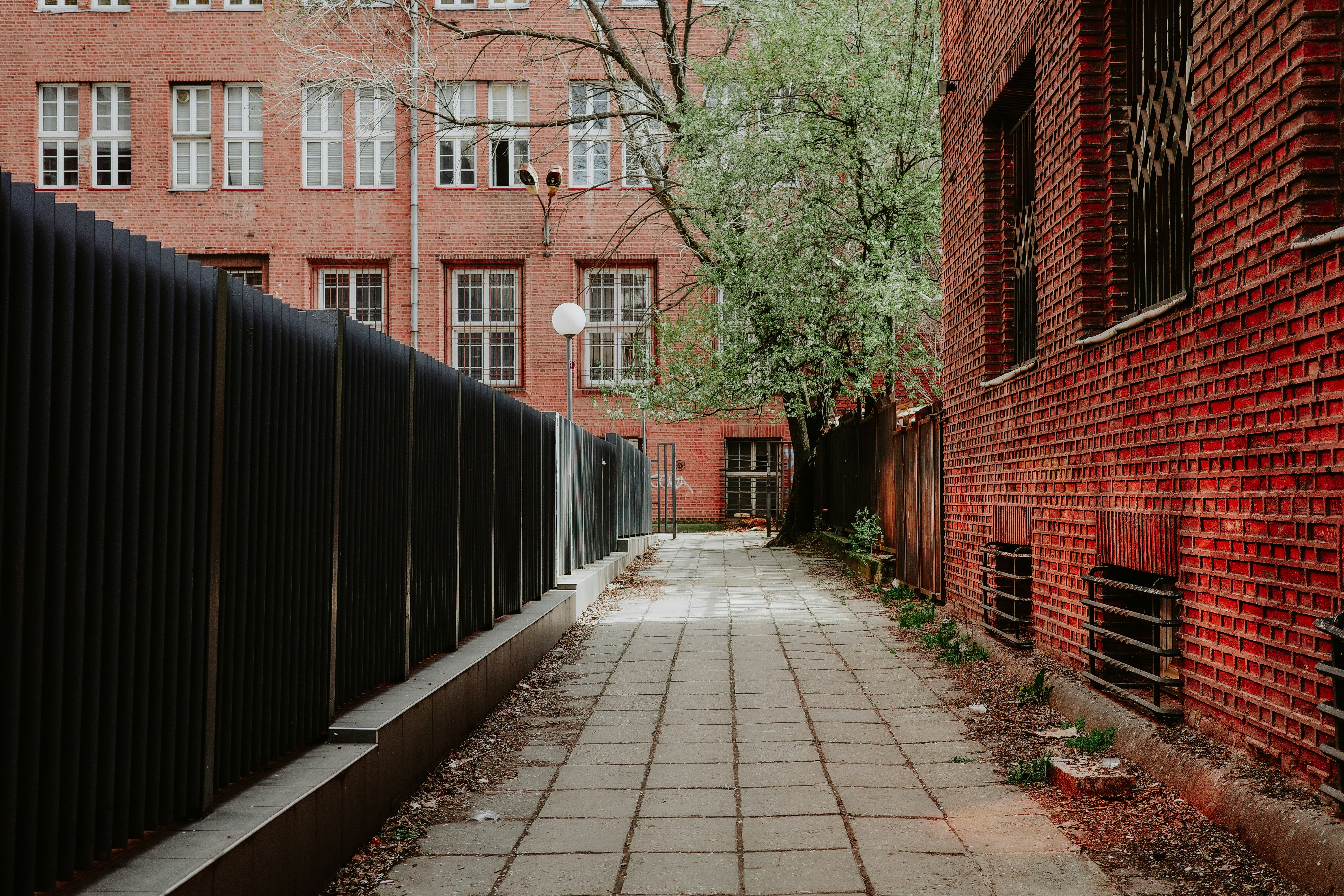 Photo by virginiaphotostories