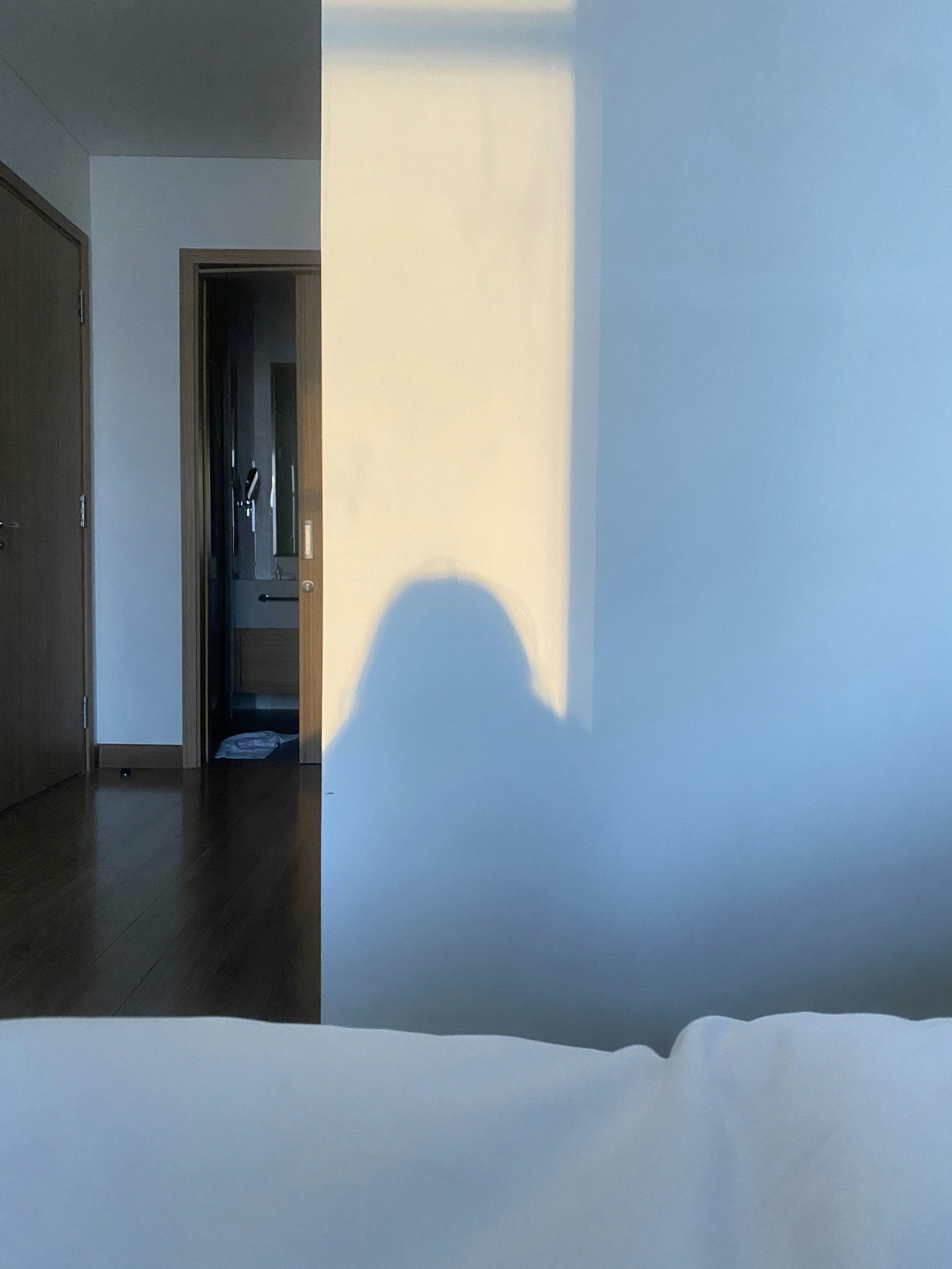 An anonymous room with an ensuite and a bed with a white covering, a blue shadow of a person is on a white wall, with golden sun behind them.
