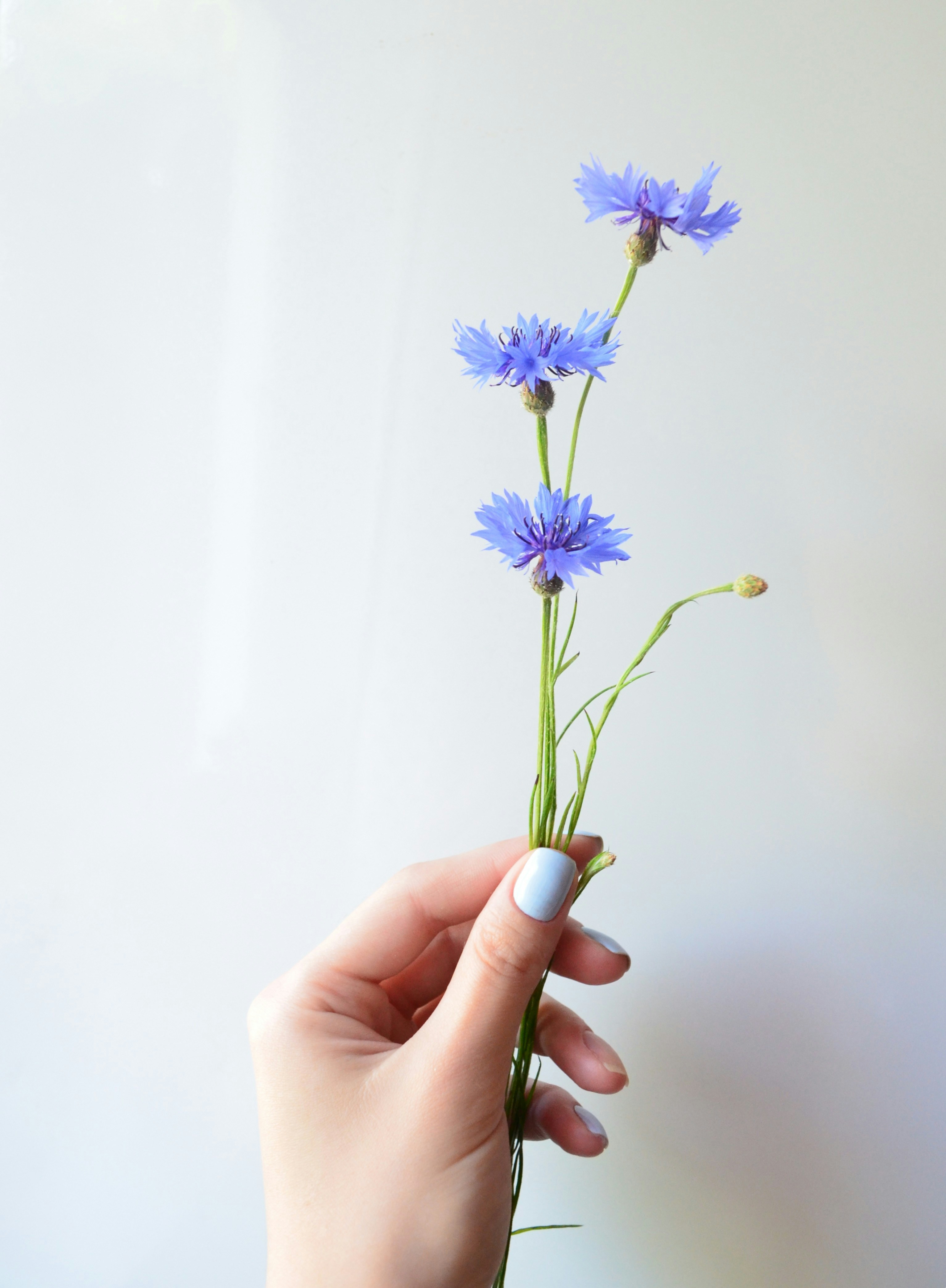 Photo by fluffy_clouds