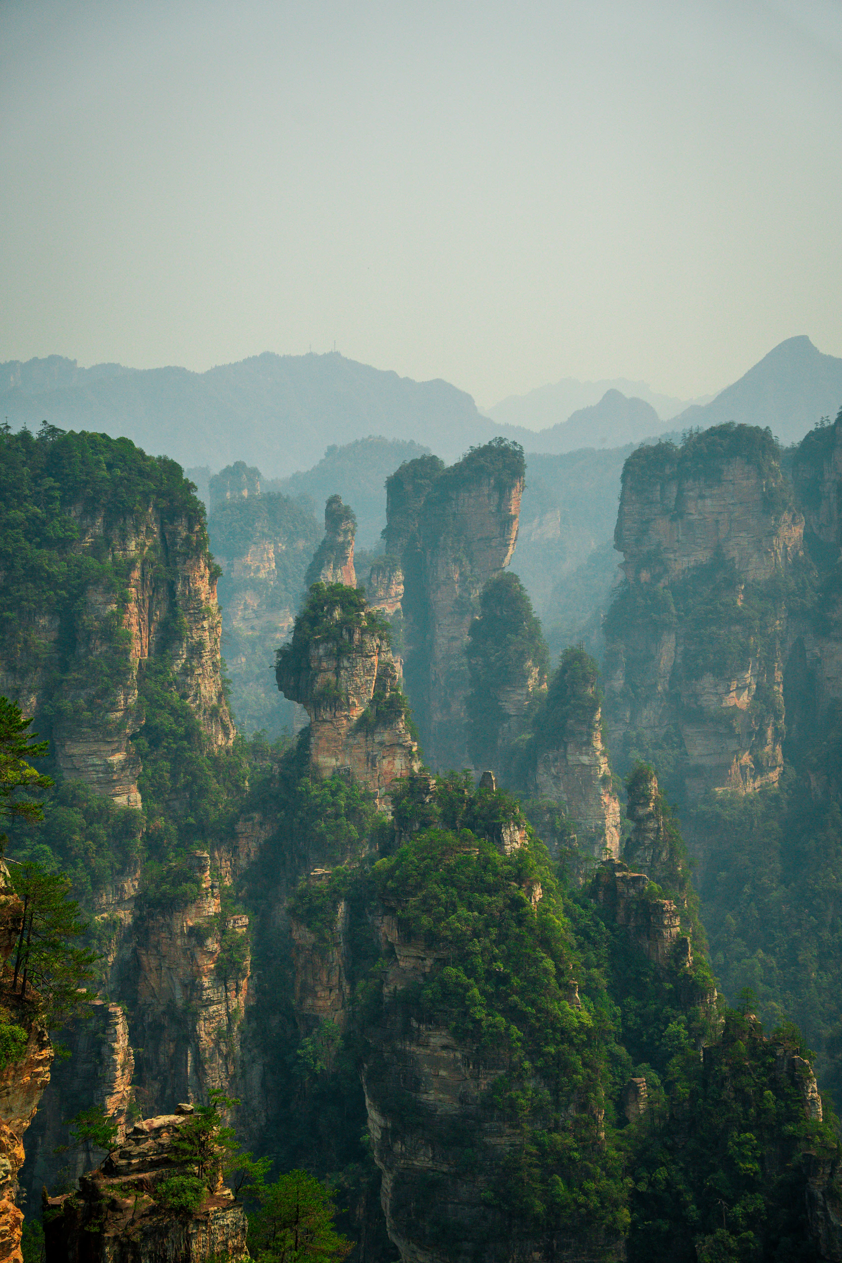 Towering forested sandstone peaks in Zhangjiajie, China