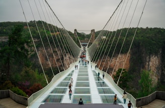 People walk across a glass bridge.
