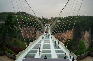 People walk across a glass bridge.
