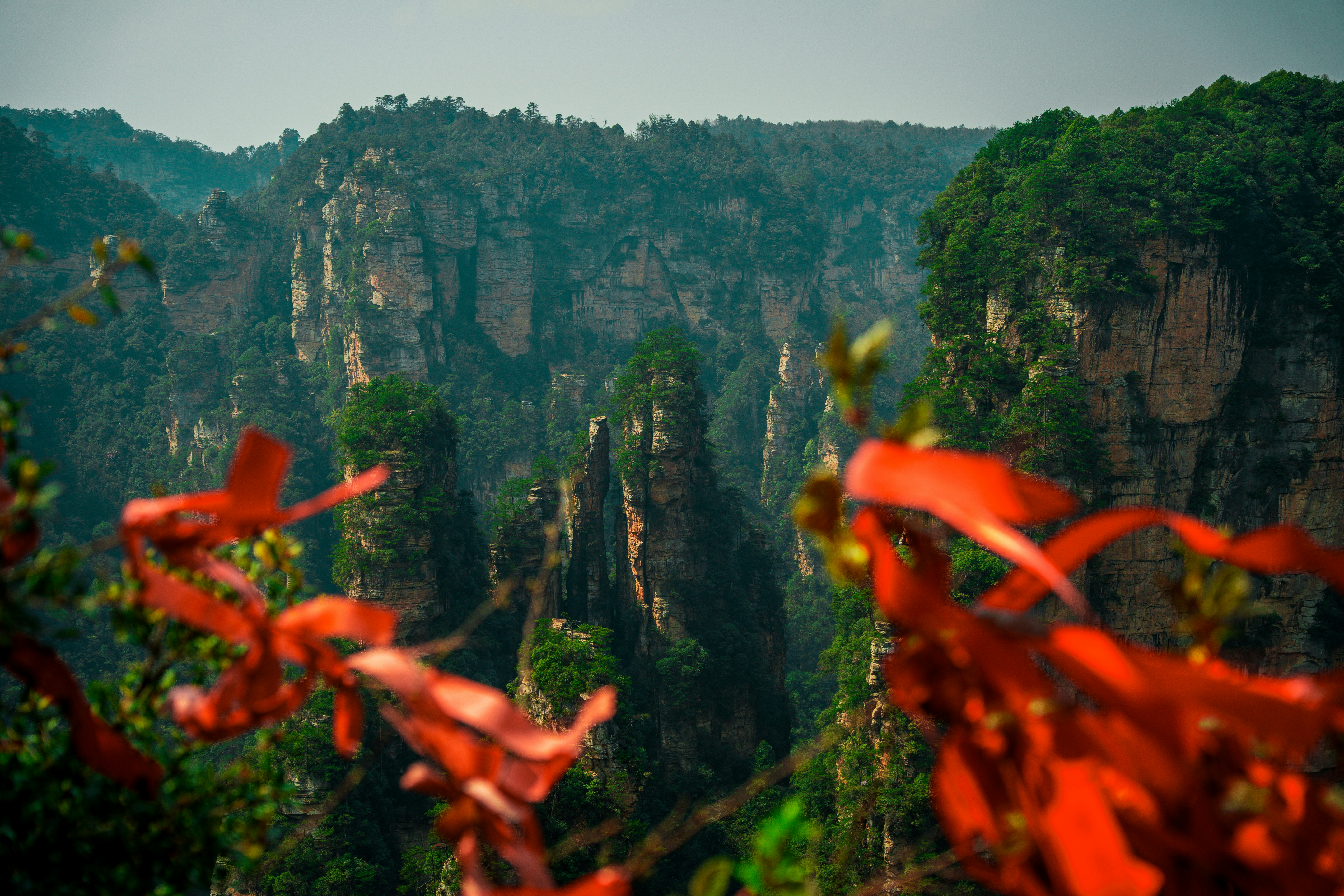 Avatar Hallelujah Mountain photo 2