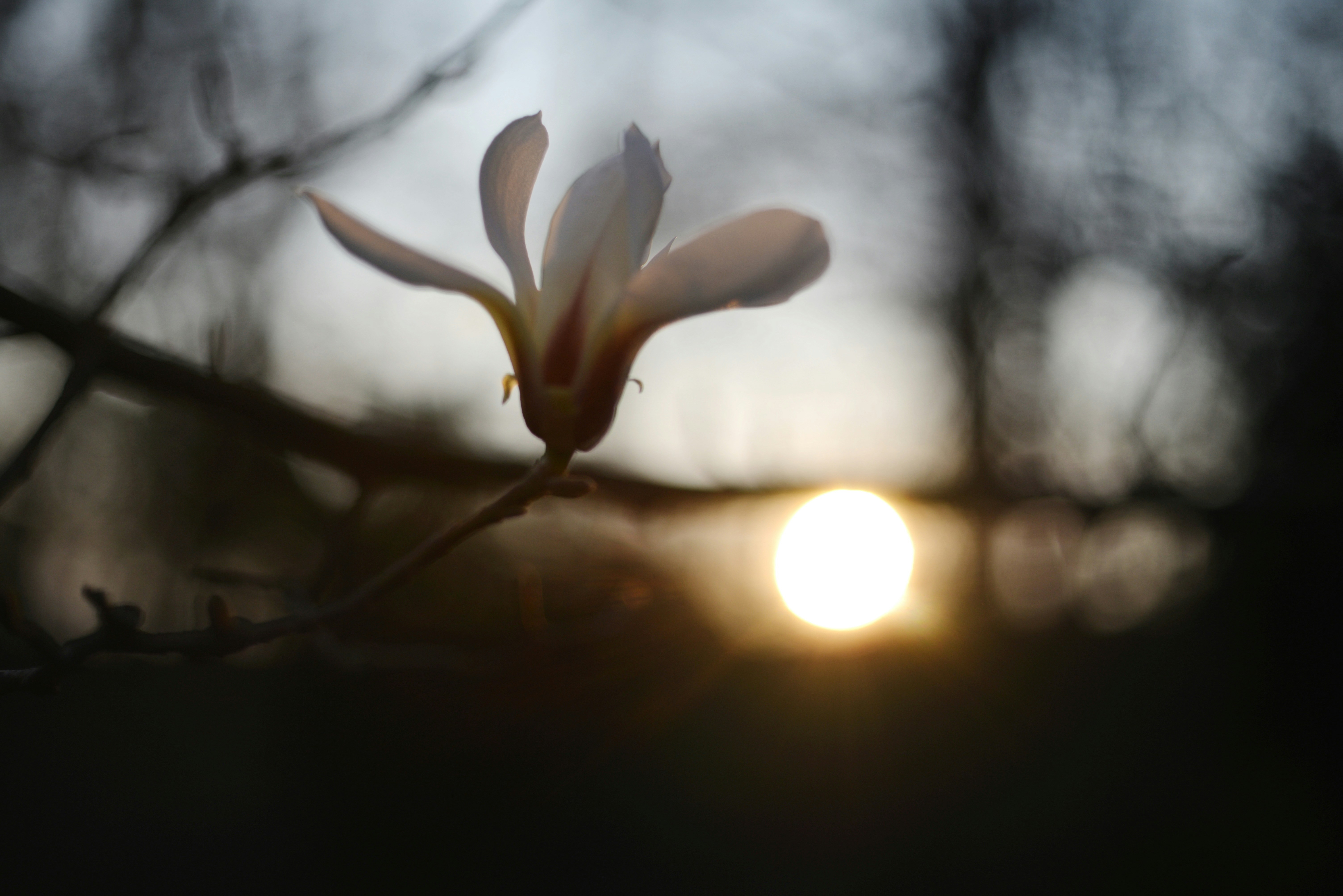 Photo by cherstve_pechivo