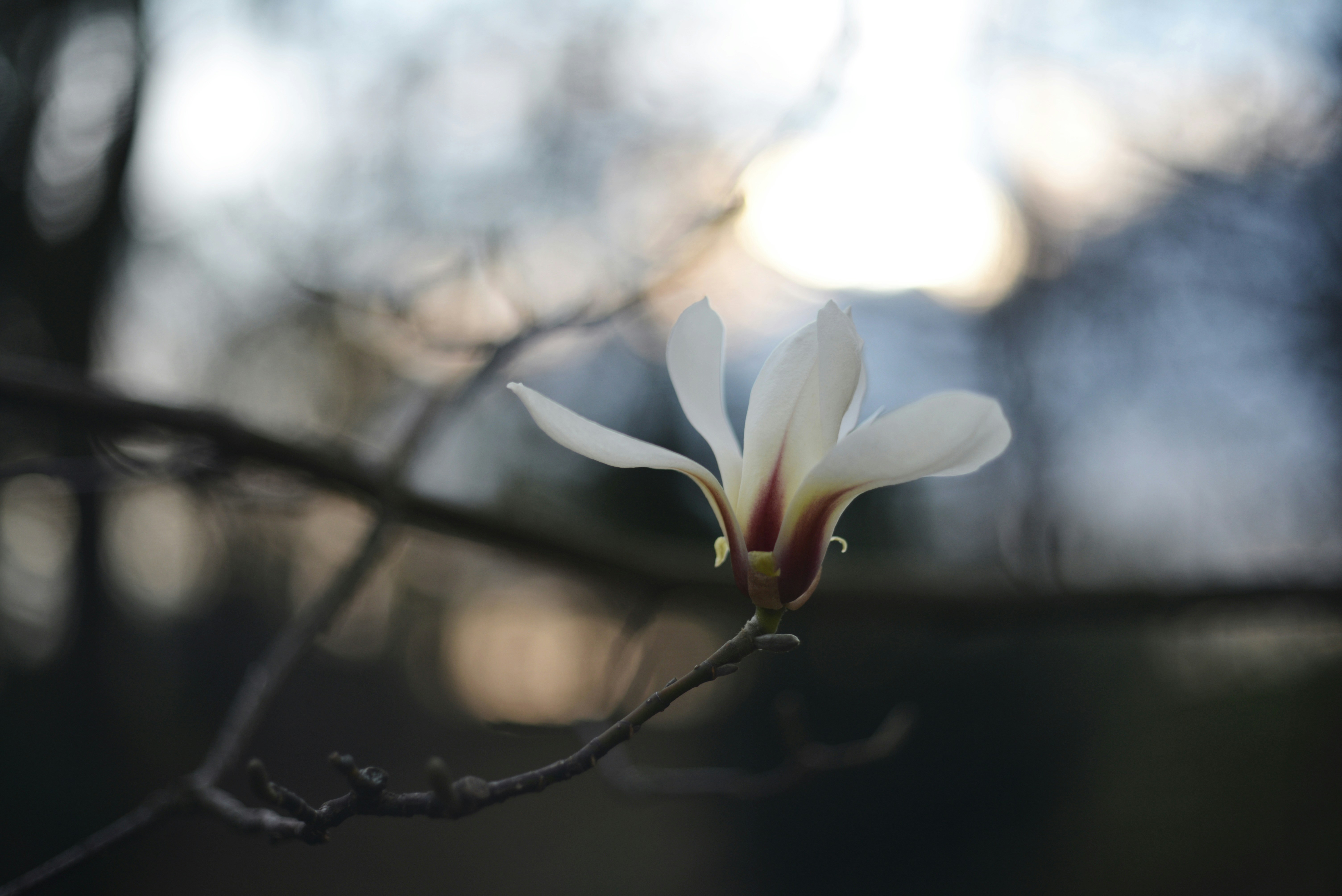 Photo by cherstve_pechivo