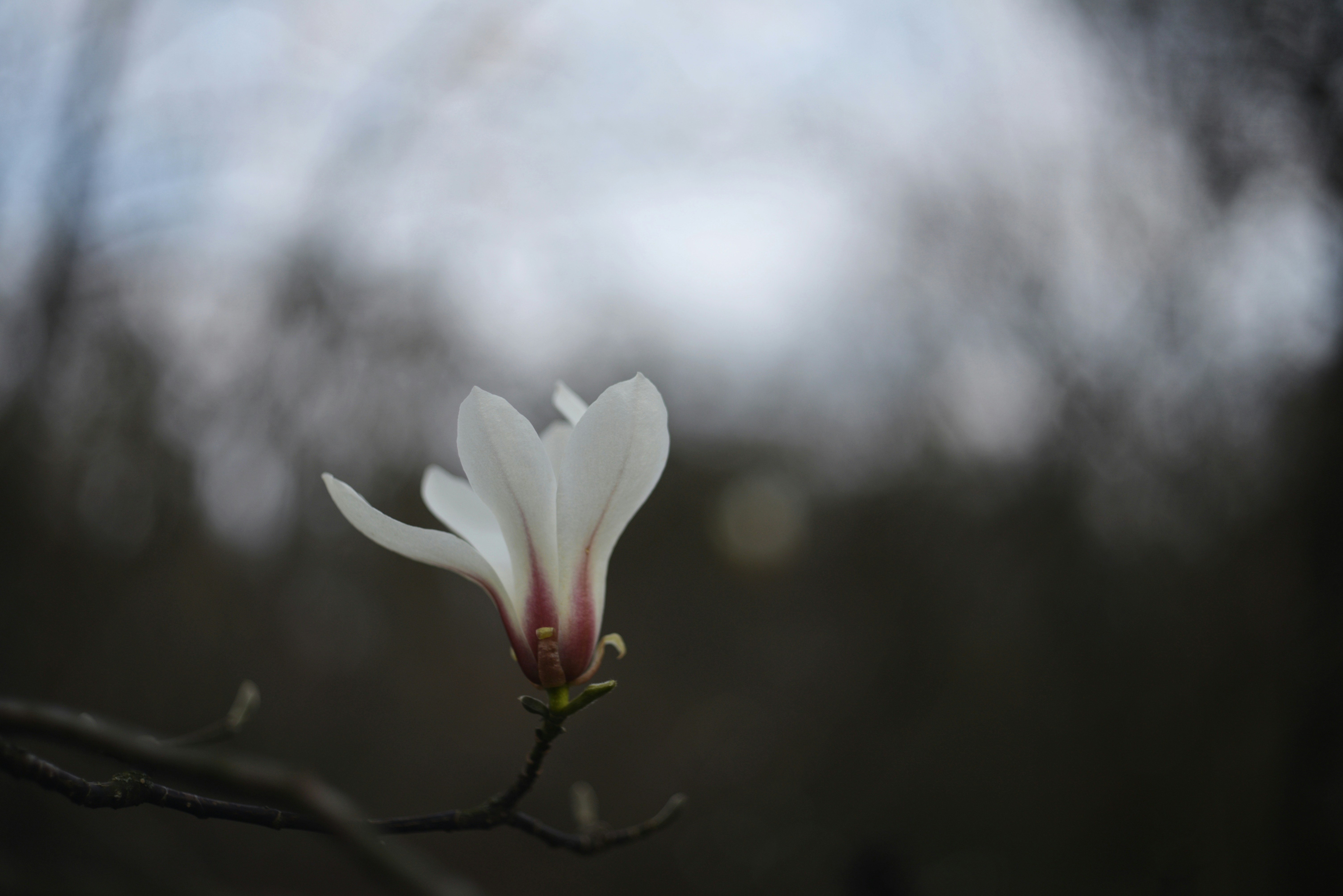 Photo by cherstve_pechivo