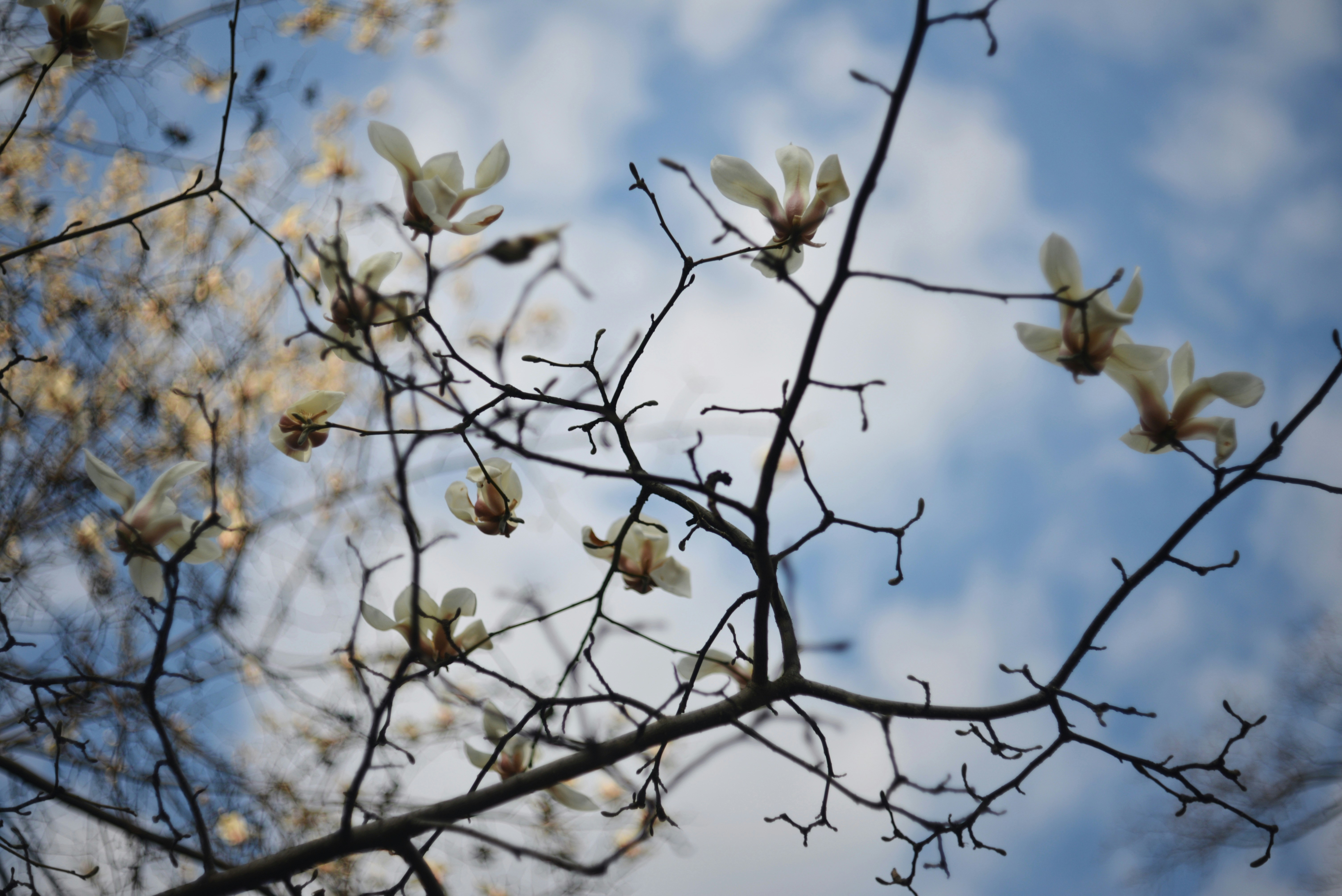 Photo by cherstve_pechivo