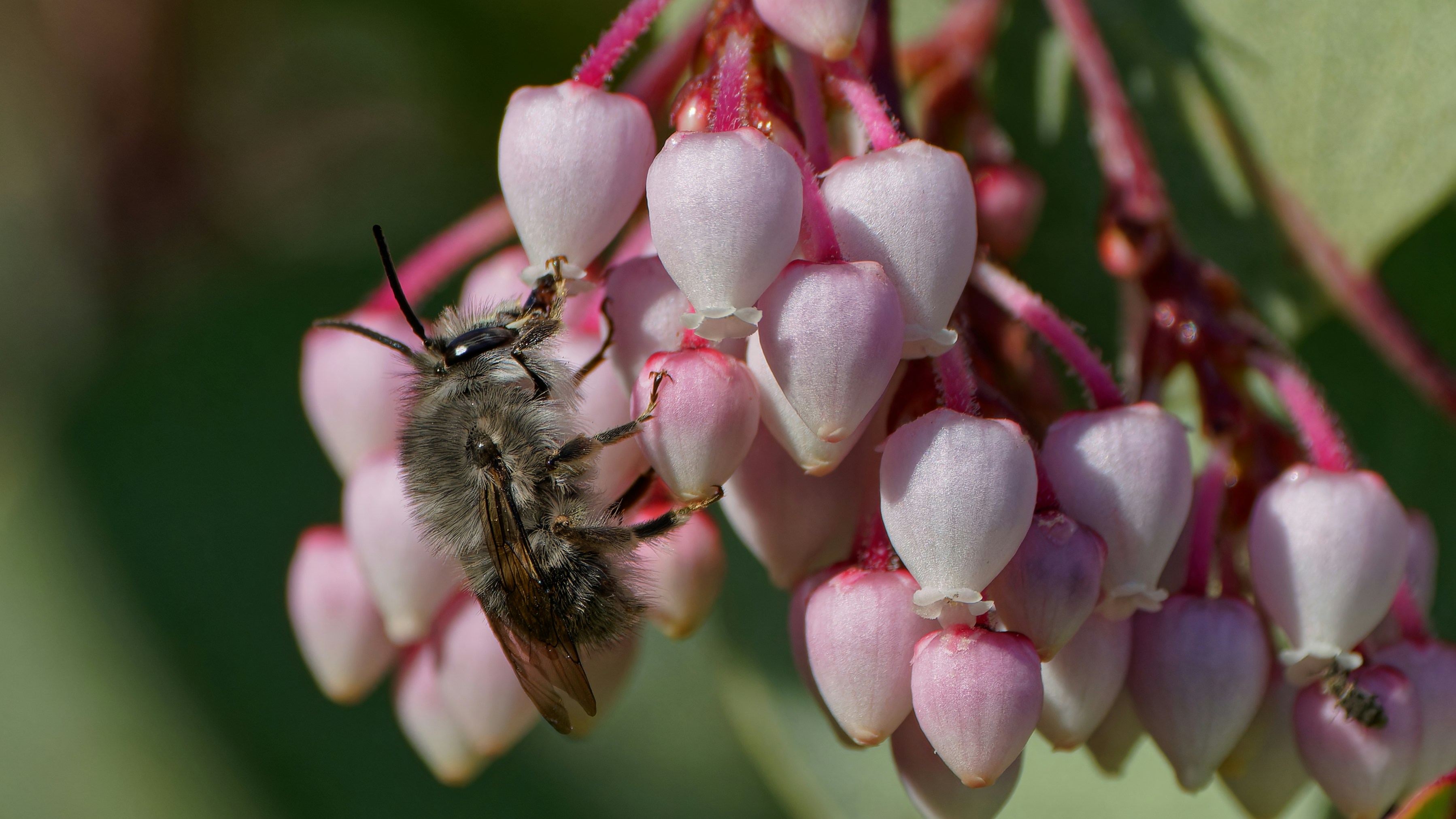 Photo by patrickbigelow_zoom_in