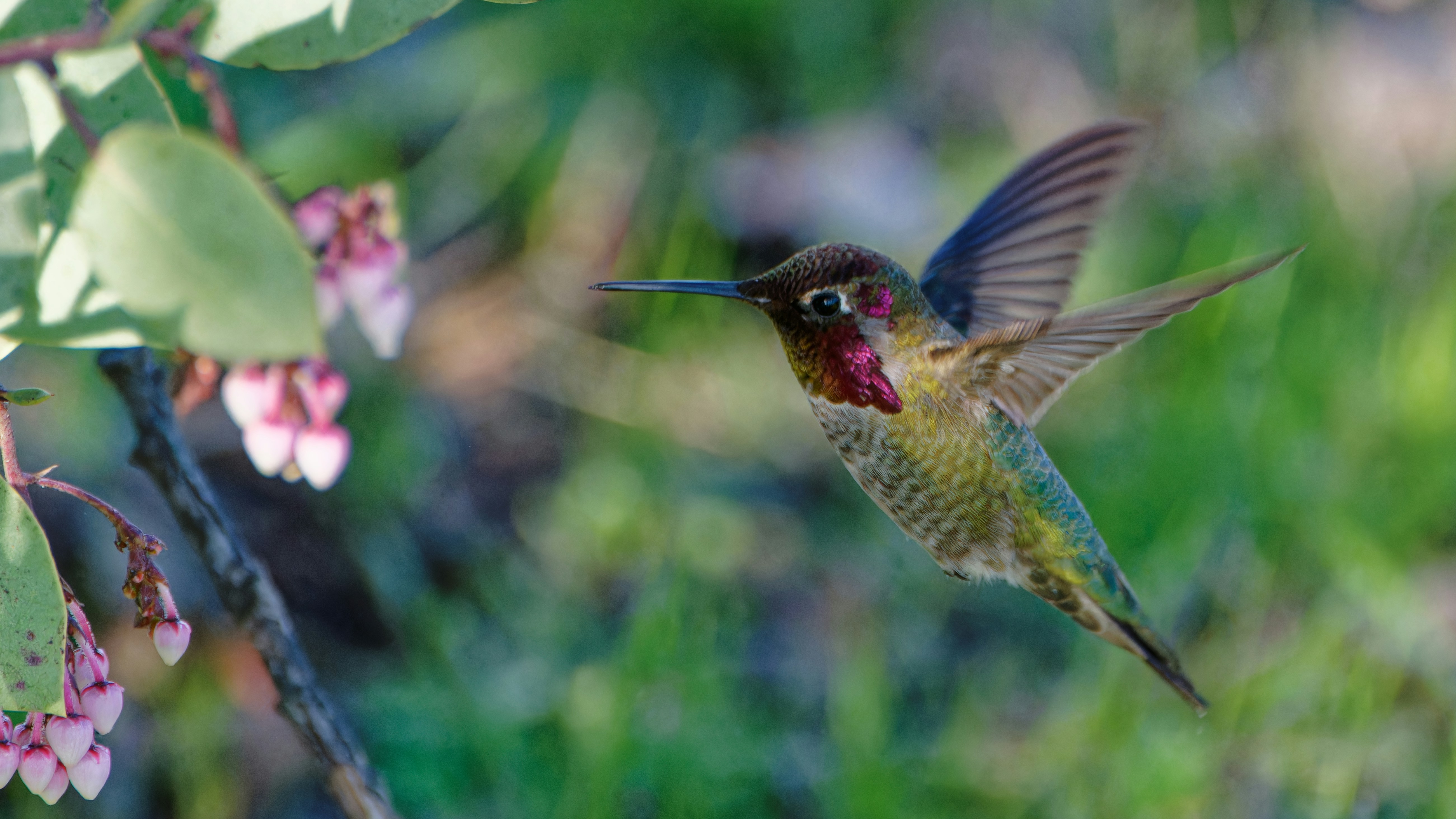 Photo by patrickbigelow_zoom_in