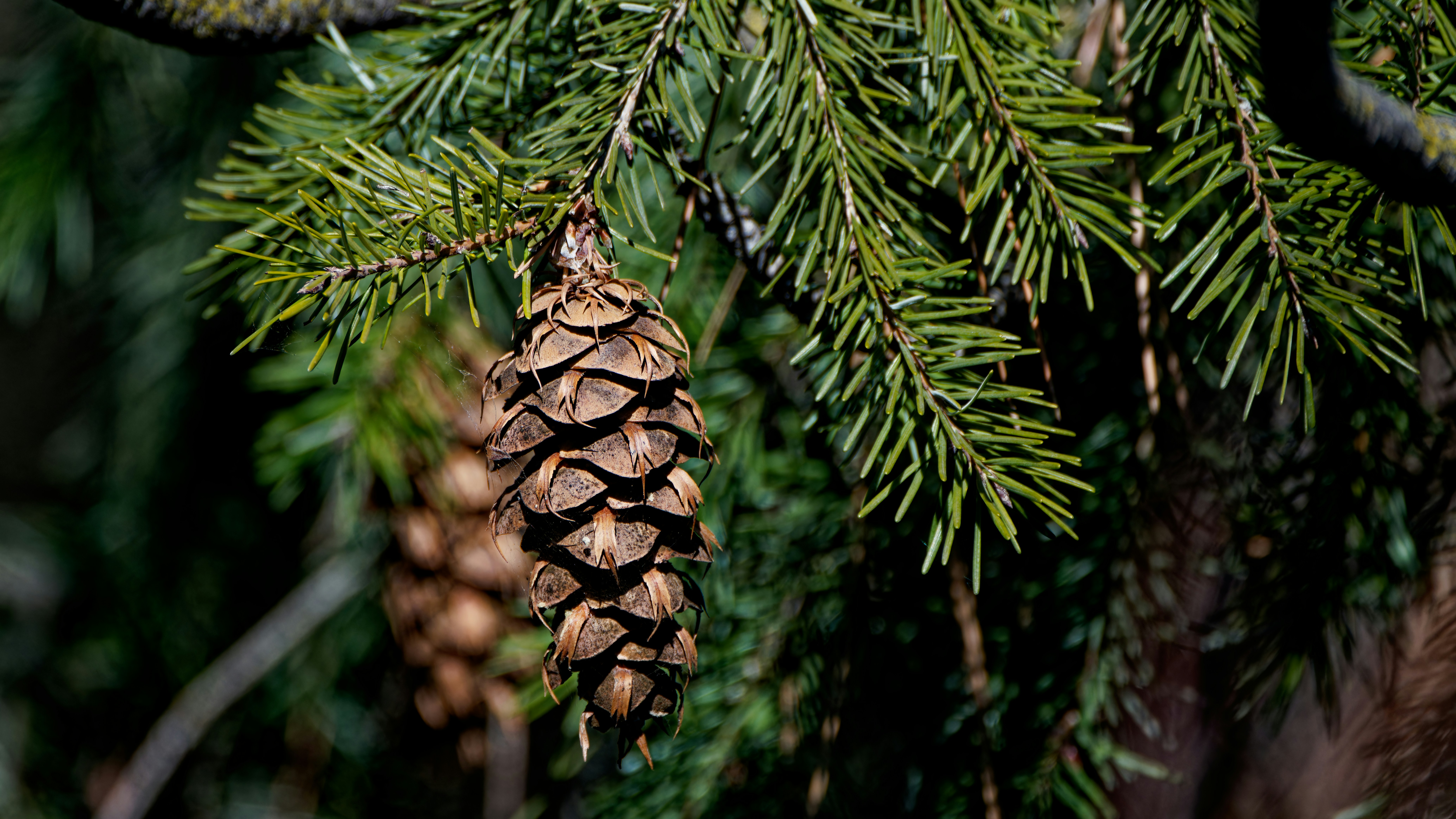 Photo by patrickbigelow_zoom_in