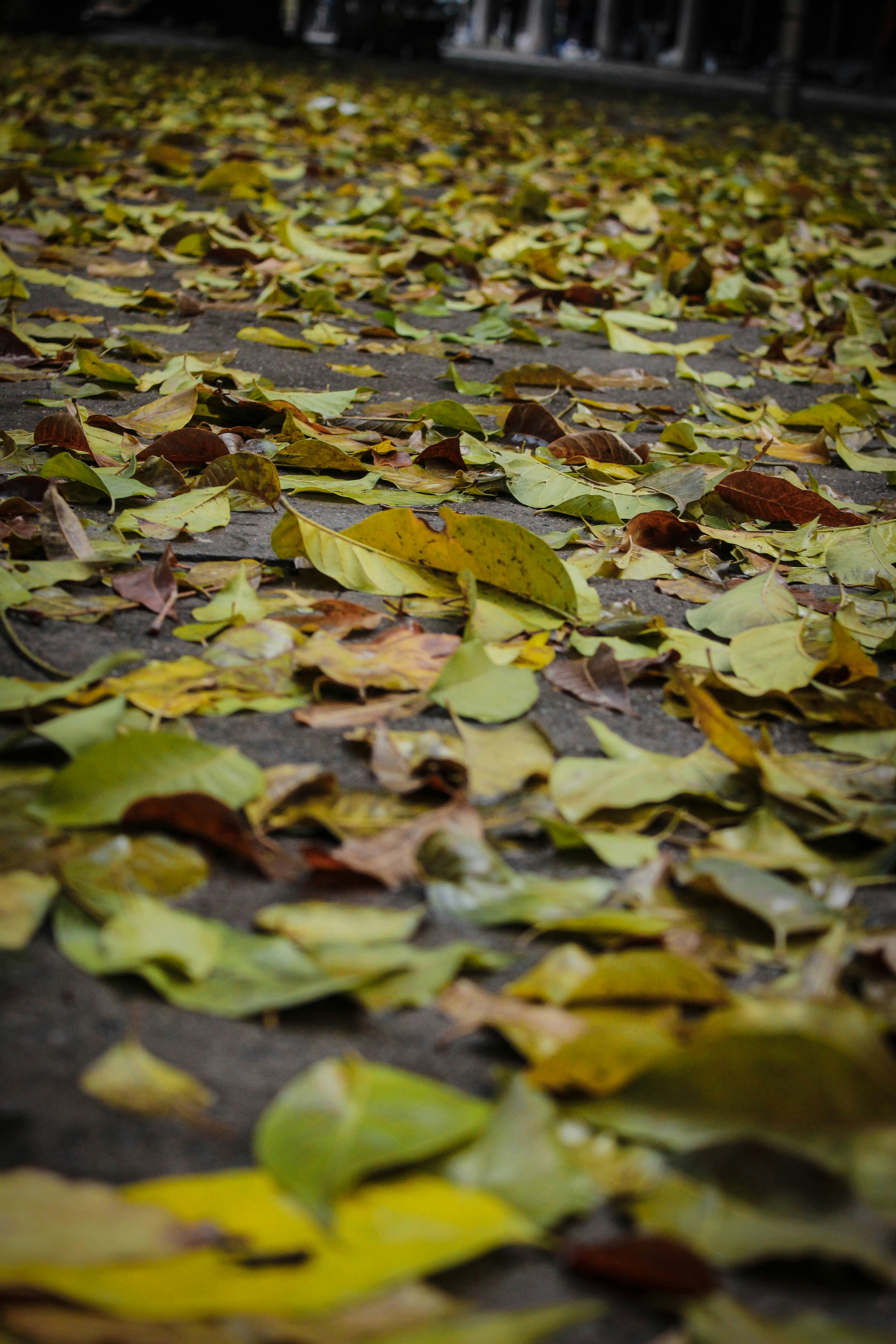 Photo by amarallahabadi