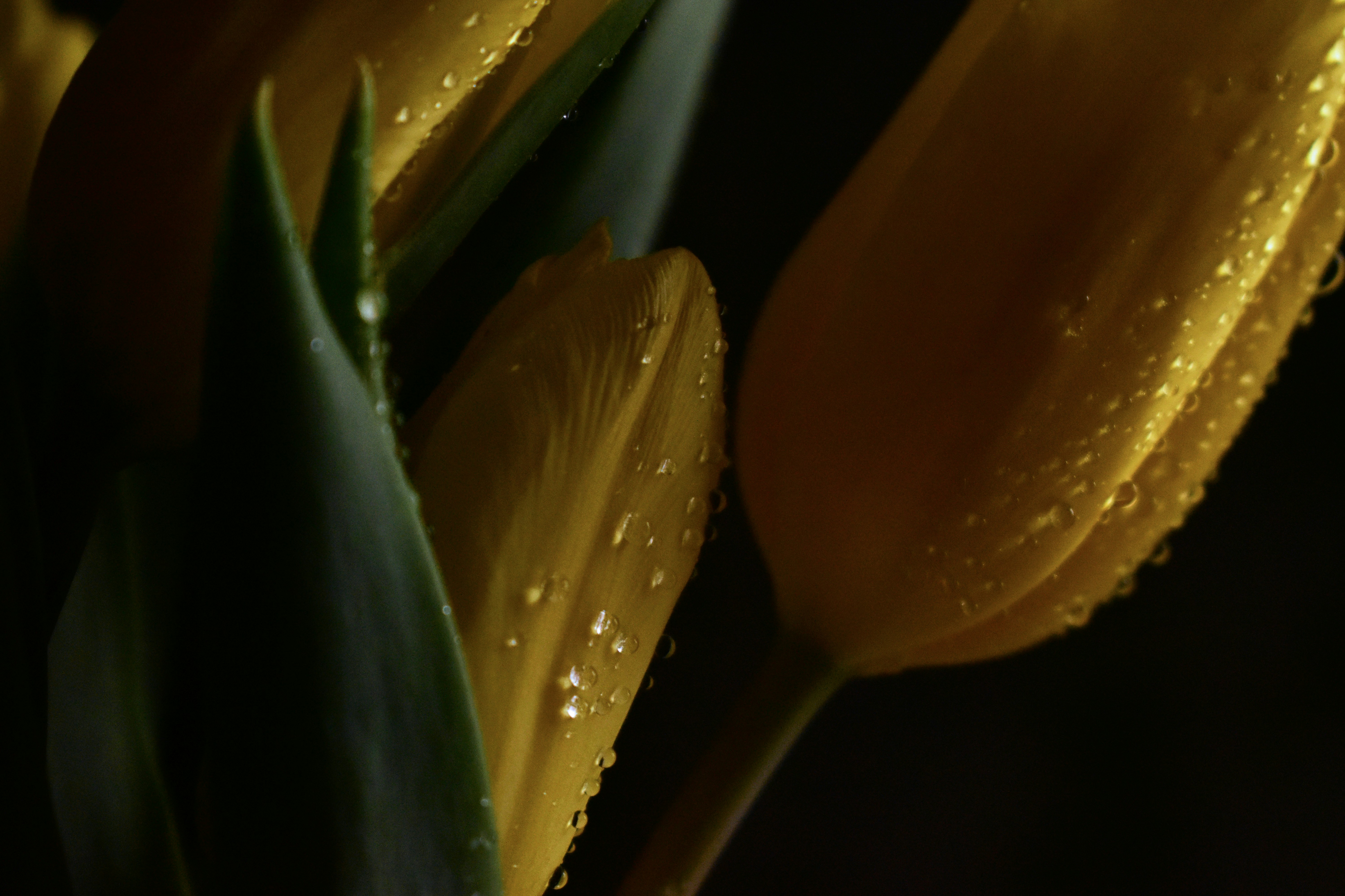 Photo by polina_grishma