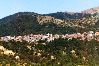 A mountain town nestled amongst forested hills.