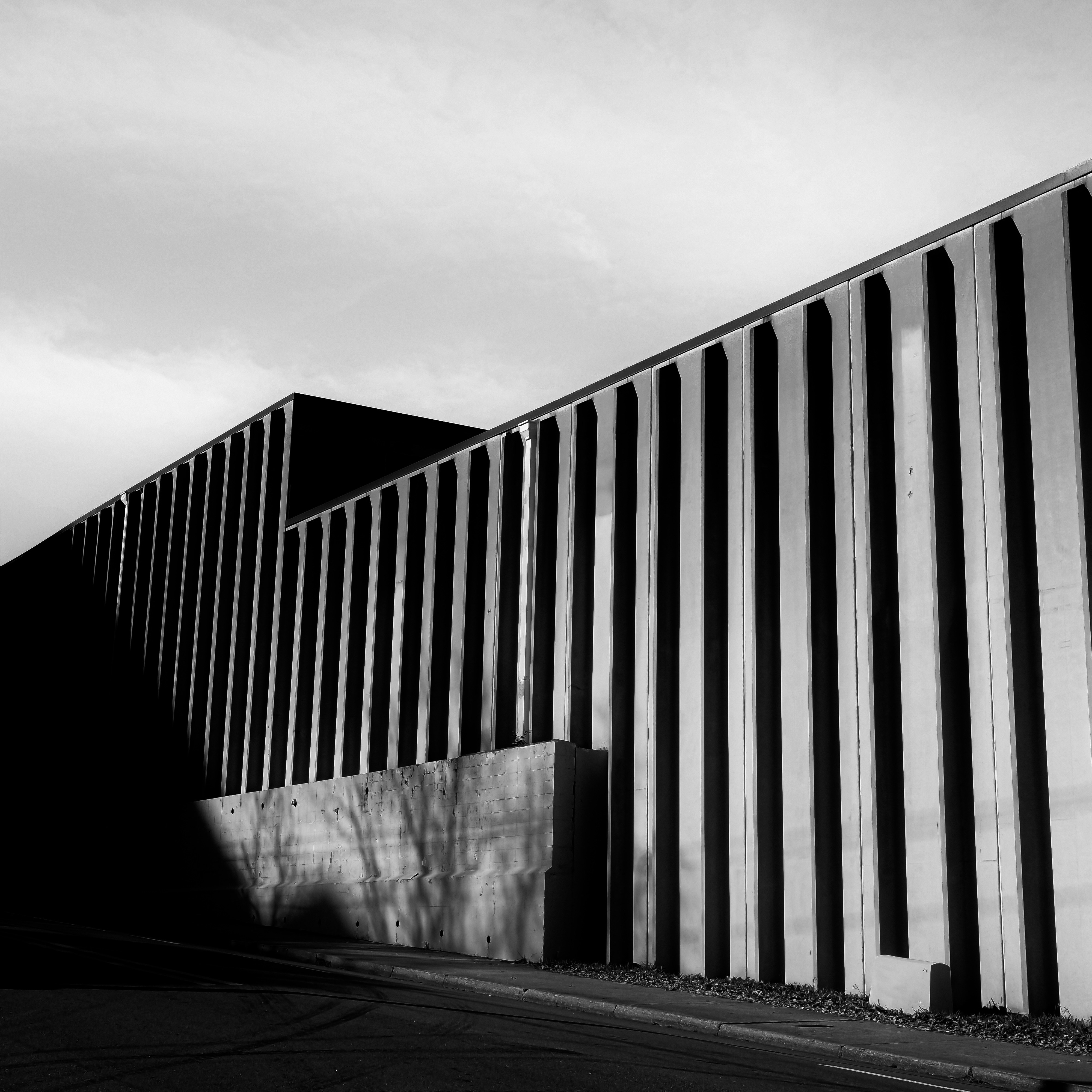 Photo by _zash_capturing