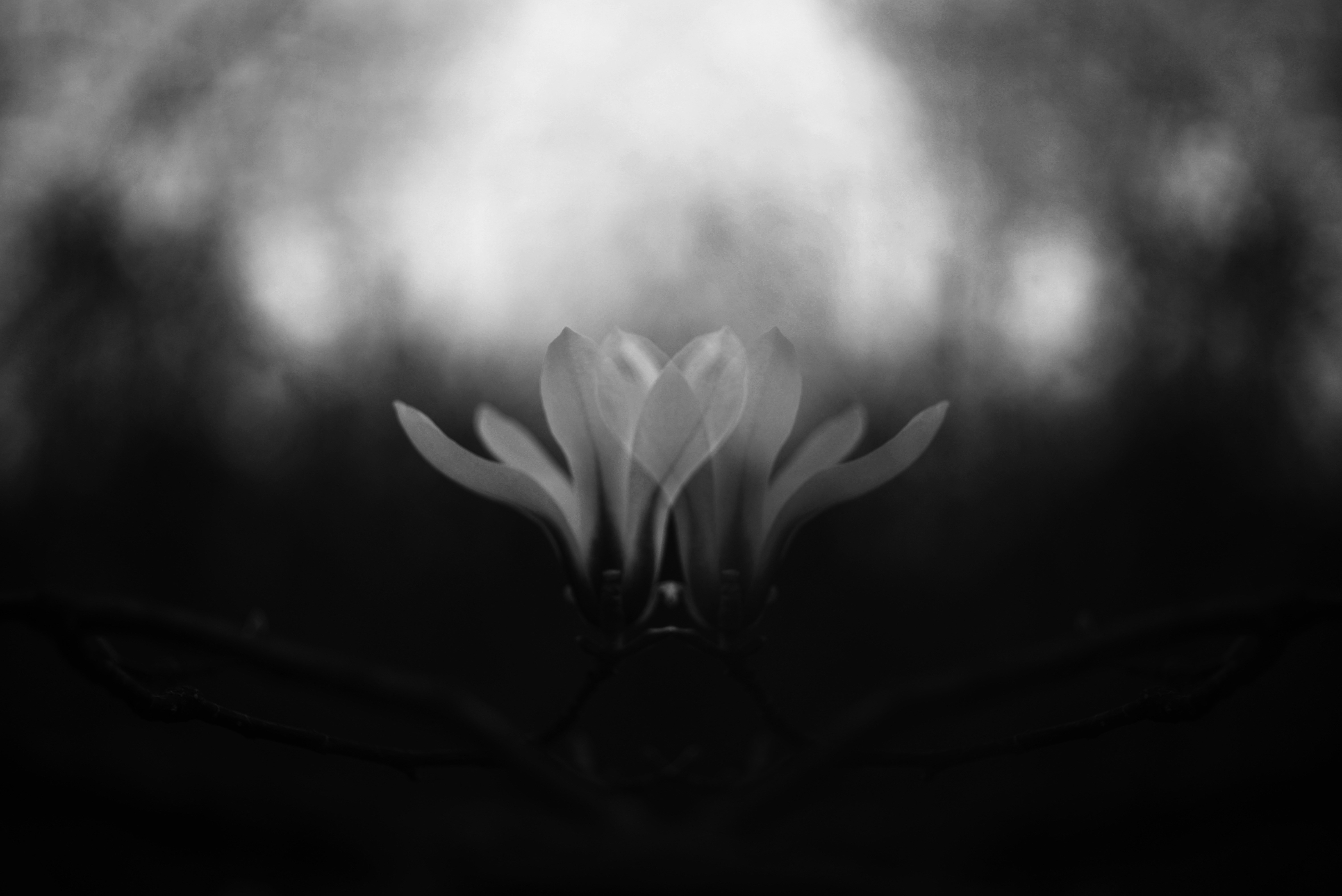 Photo by cherstve_pechivo