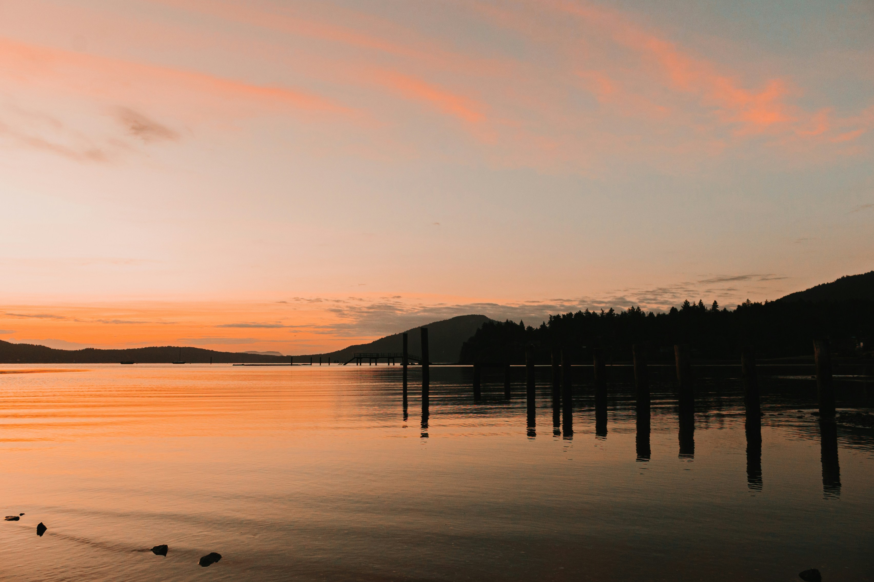 Photo by dariendesigns