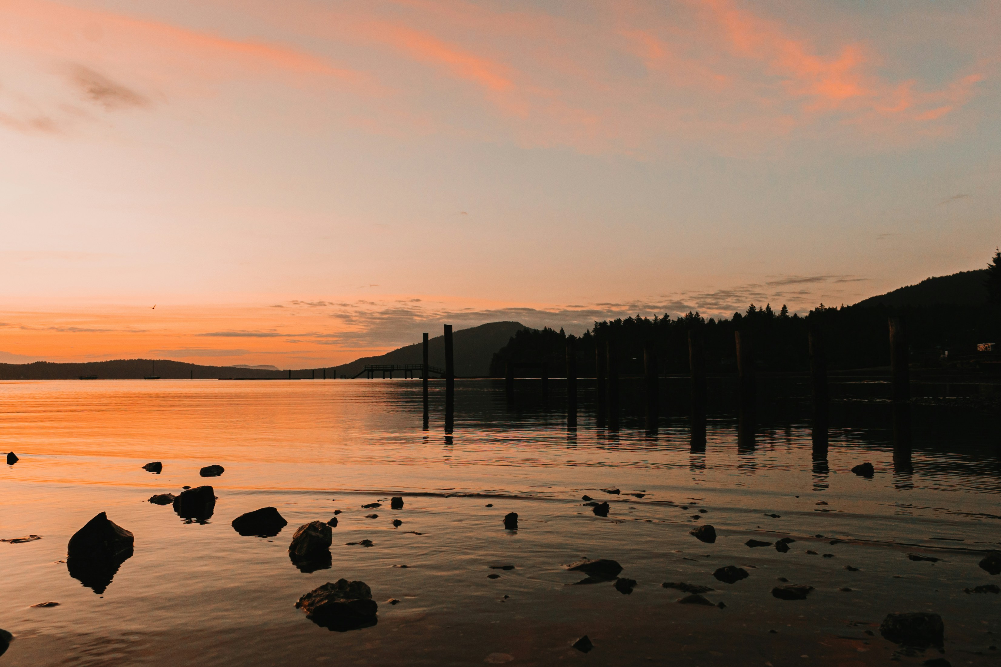 Photo by dariendesigns