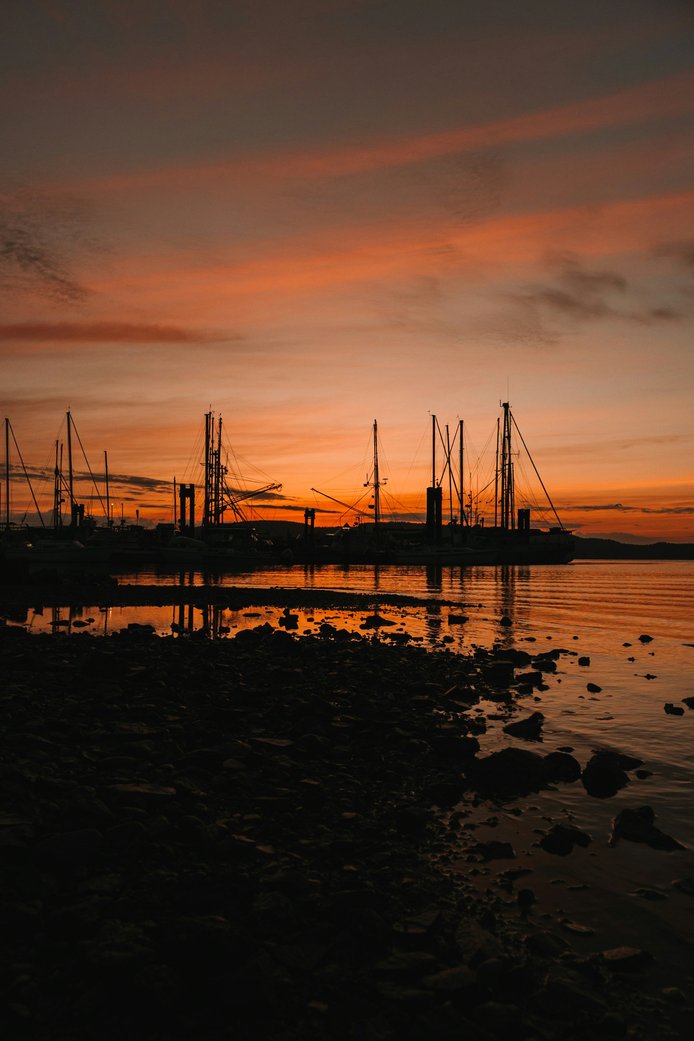 Photo by dariendesigns