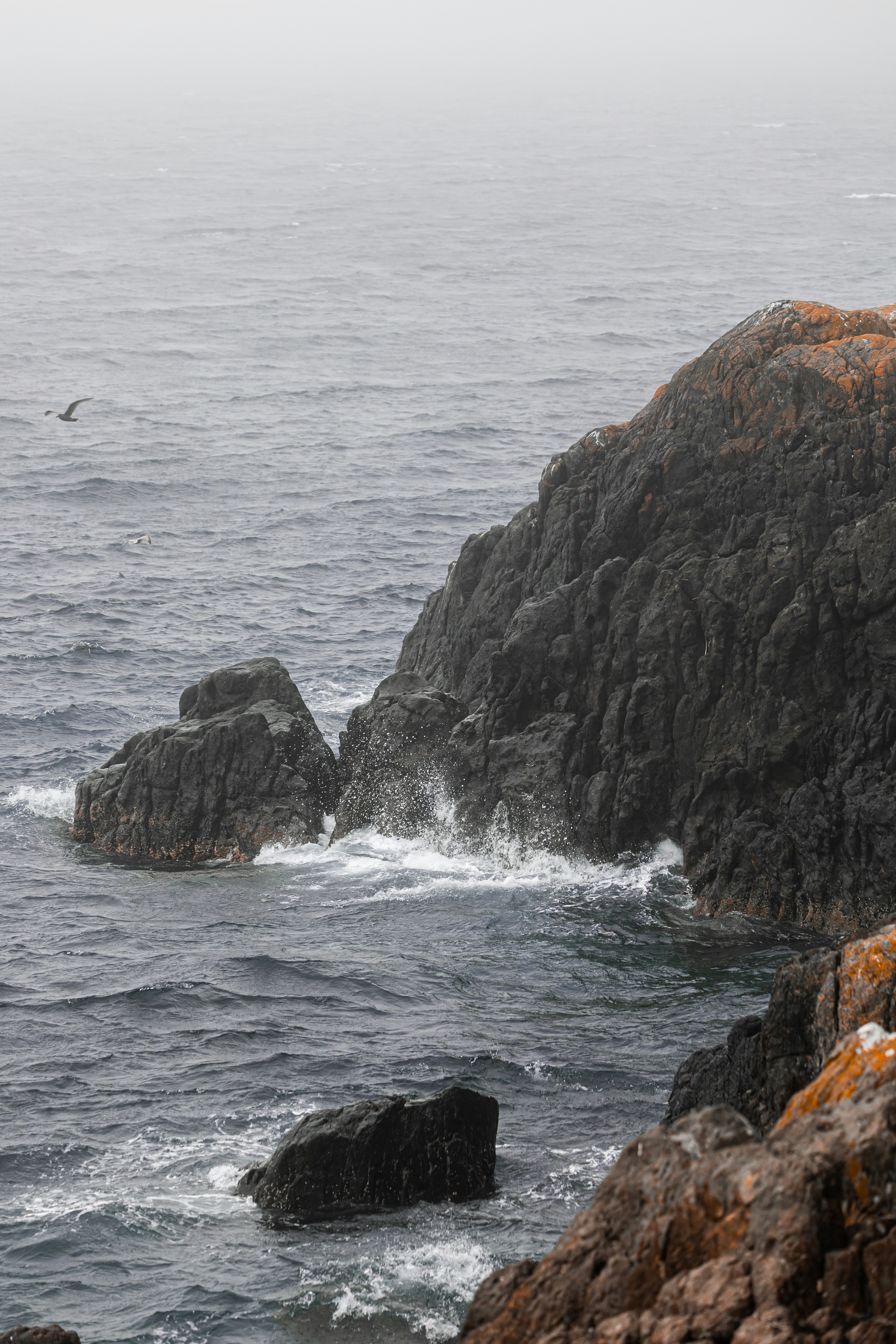 Photo by dariendesigns