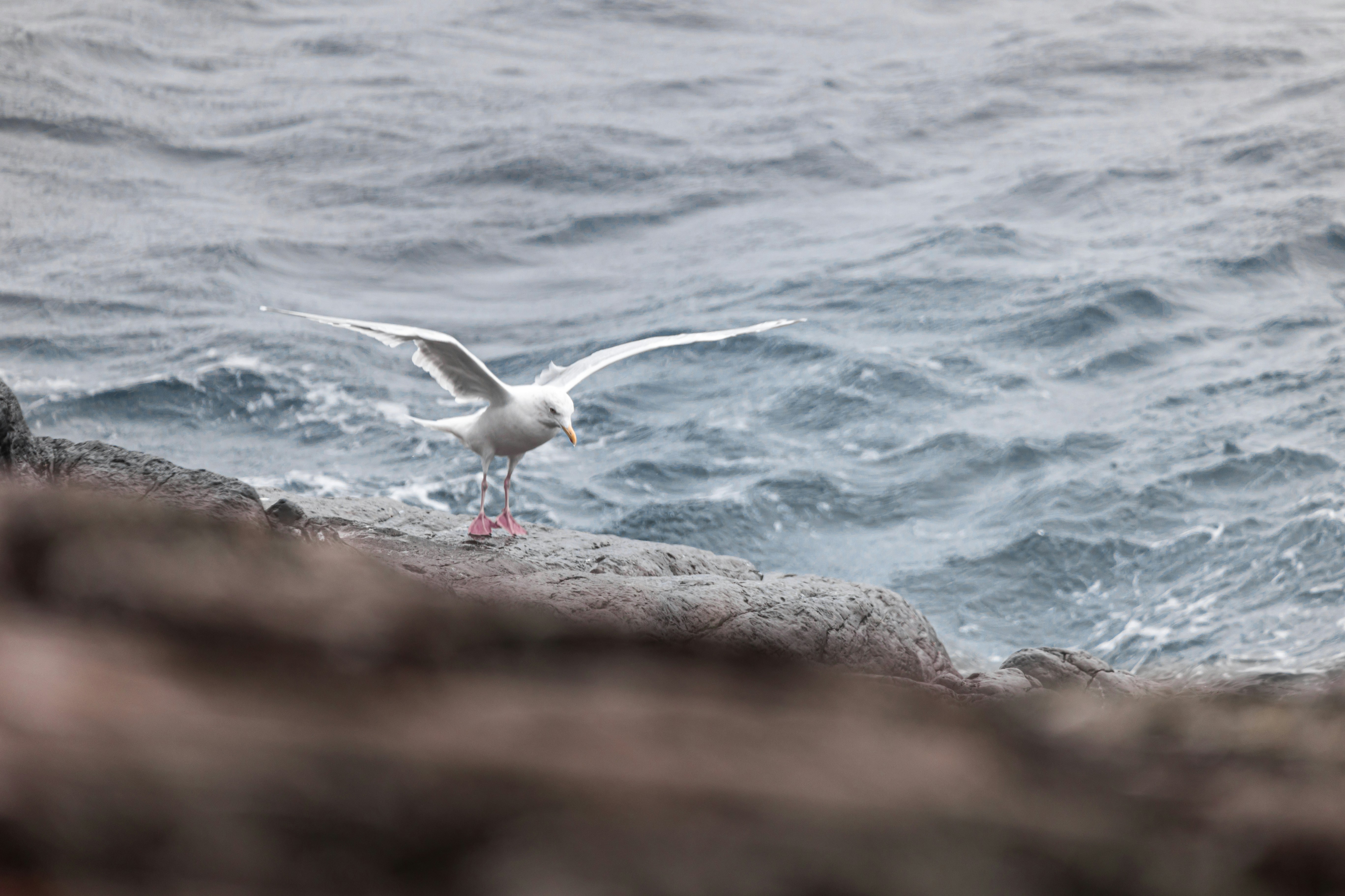 Photo by dariendesigns