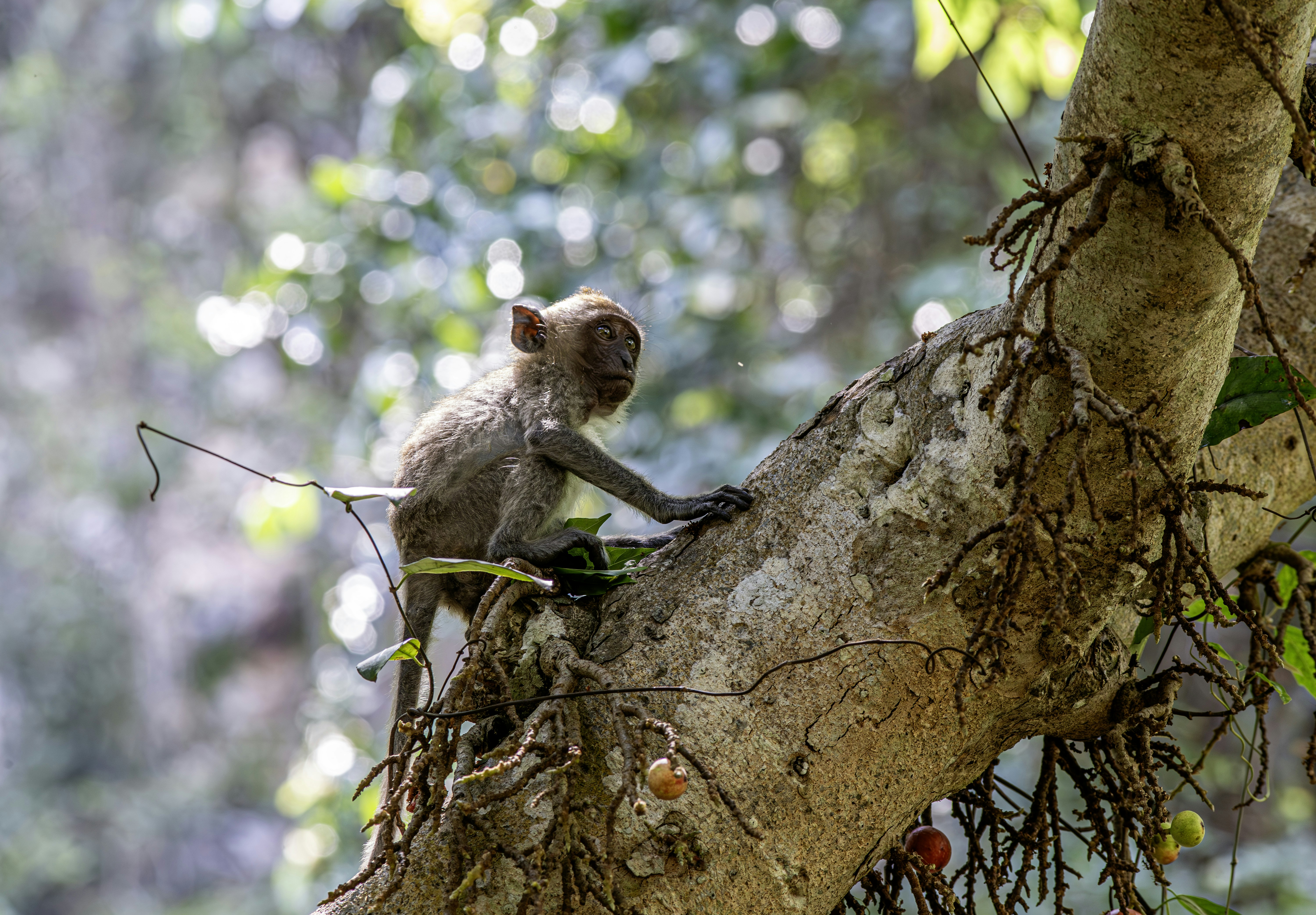 Photo by erik_karits