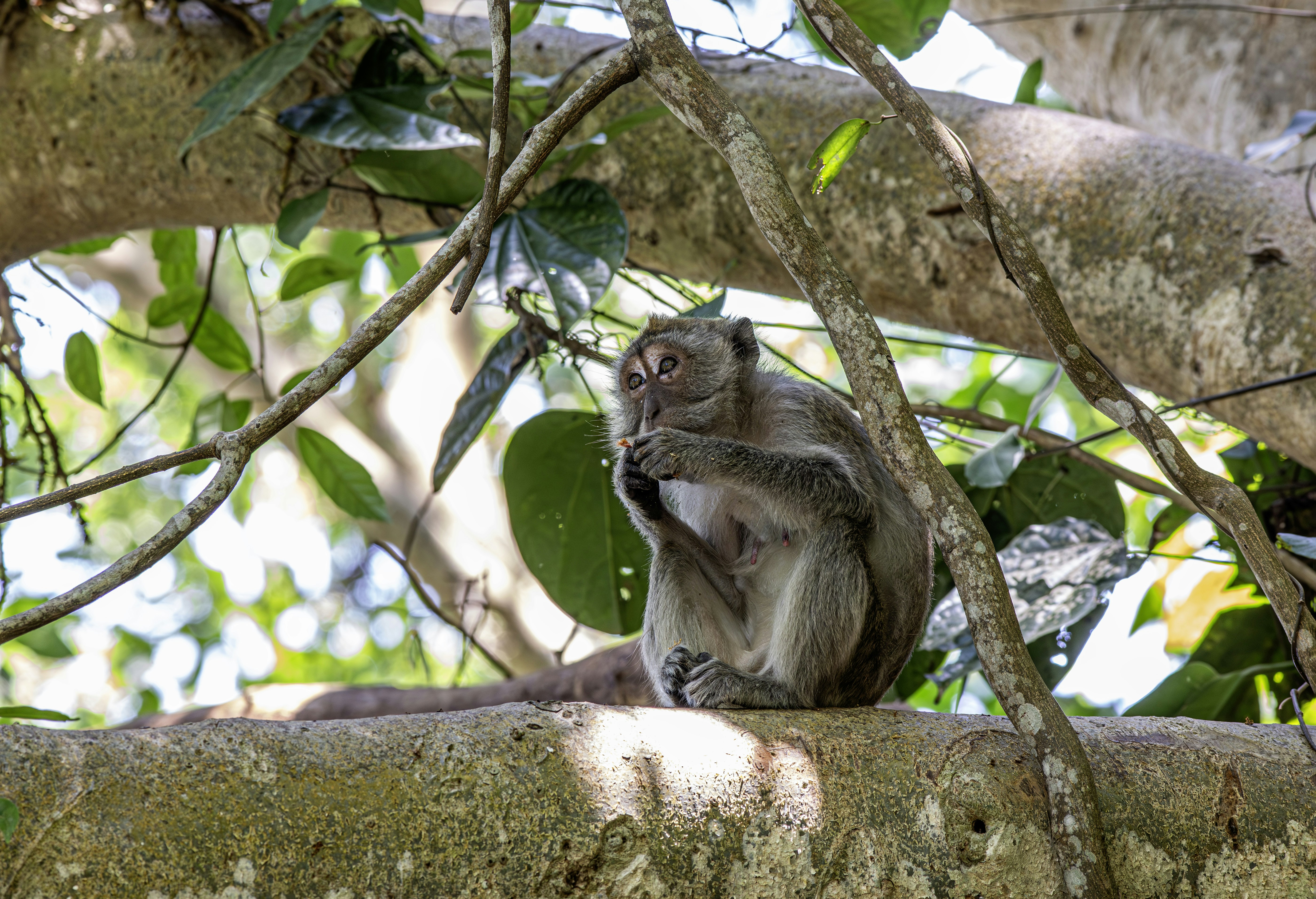 Photo by erik_karits