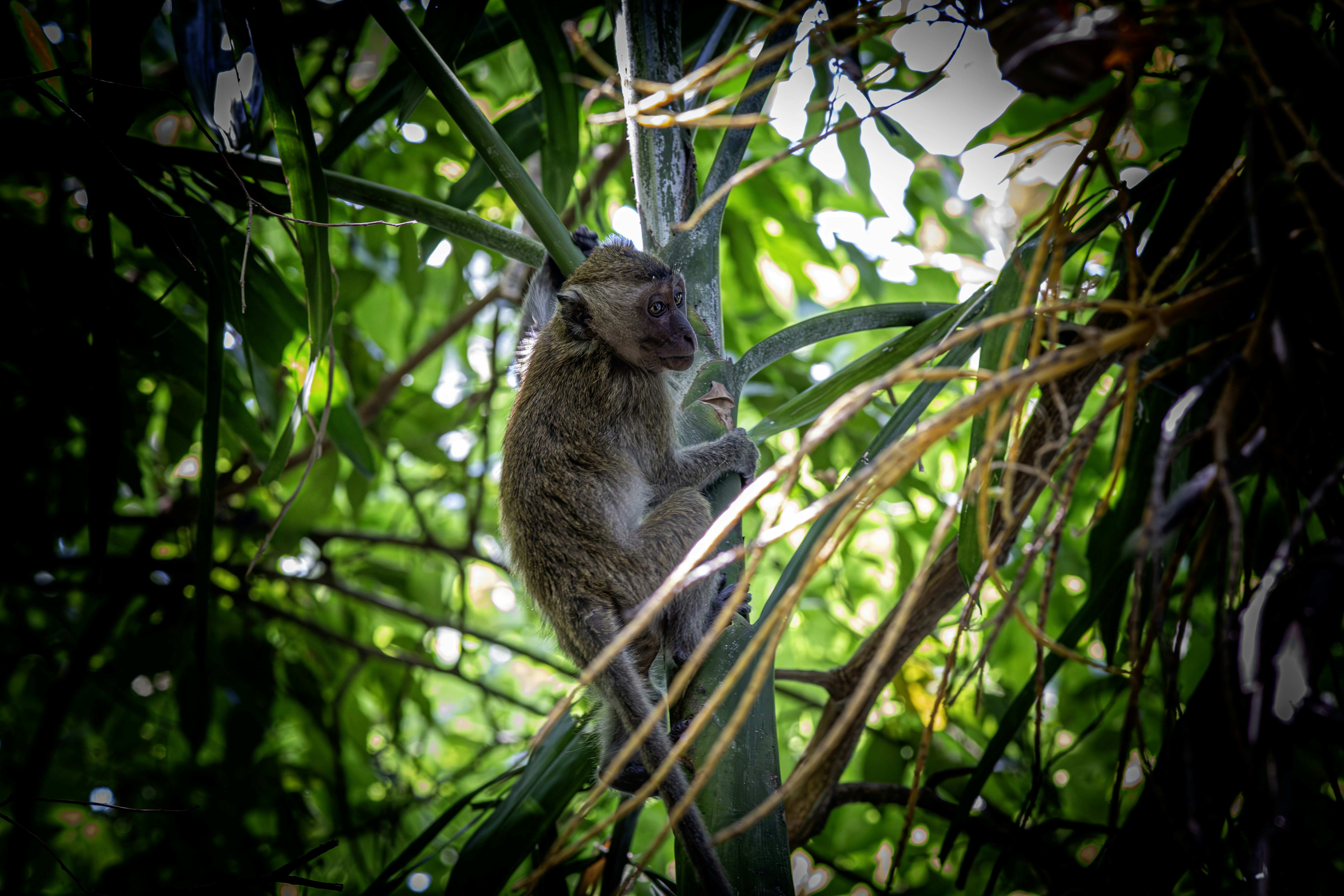 Photo by erik_karits