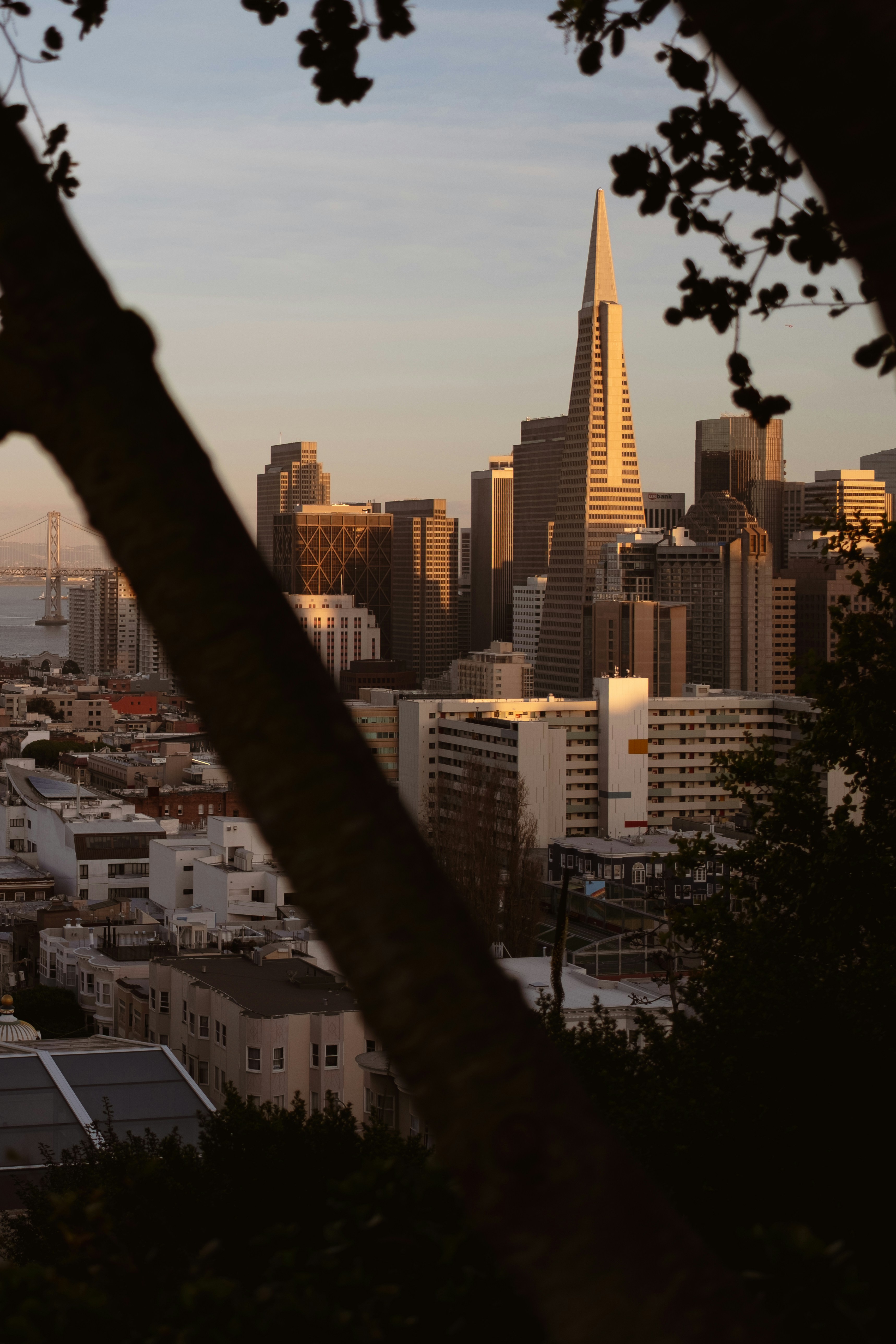 Photo by kalaniparker