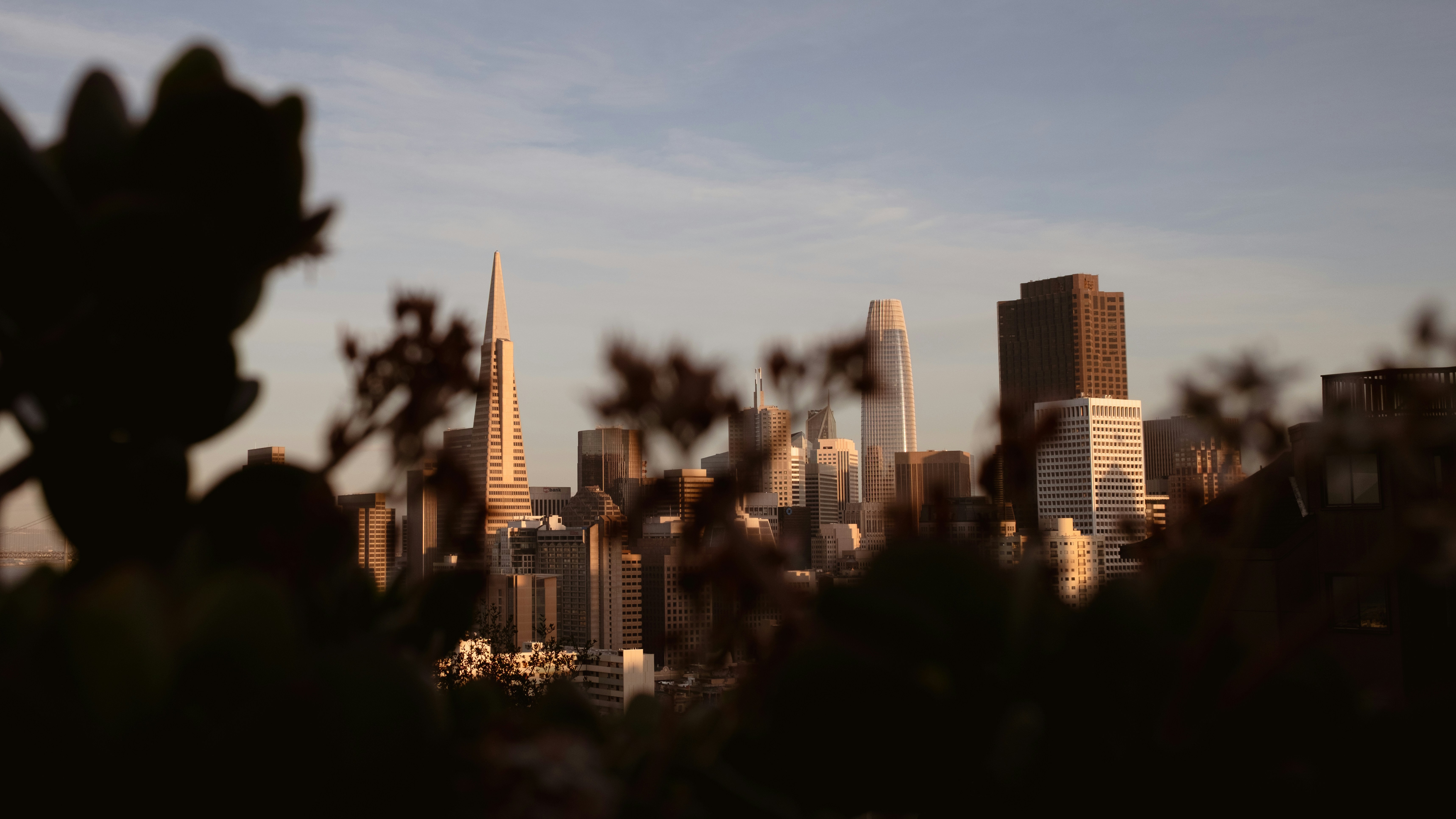 Photo by kalaniparker