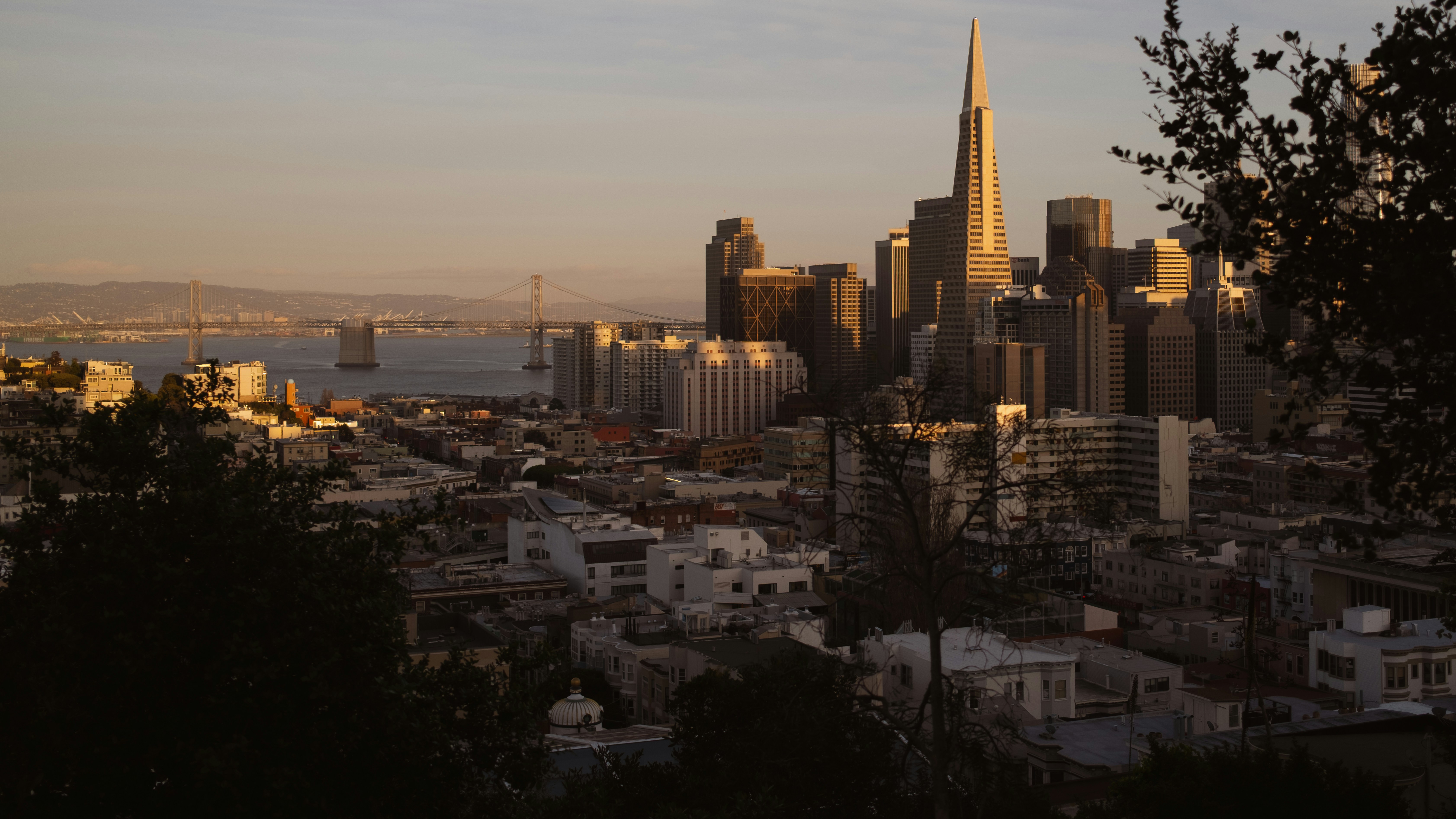 Photo by kalaniparker