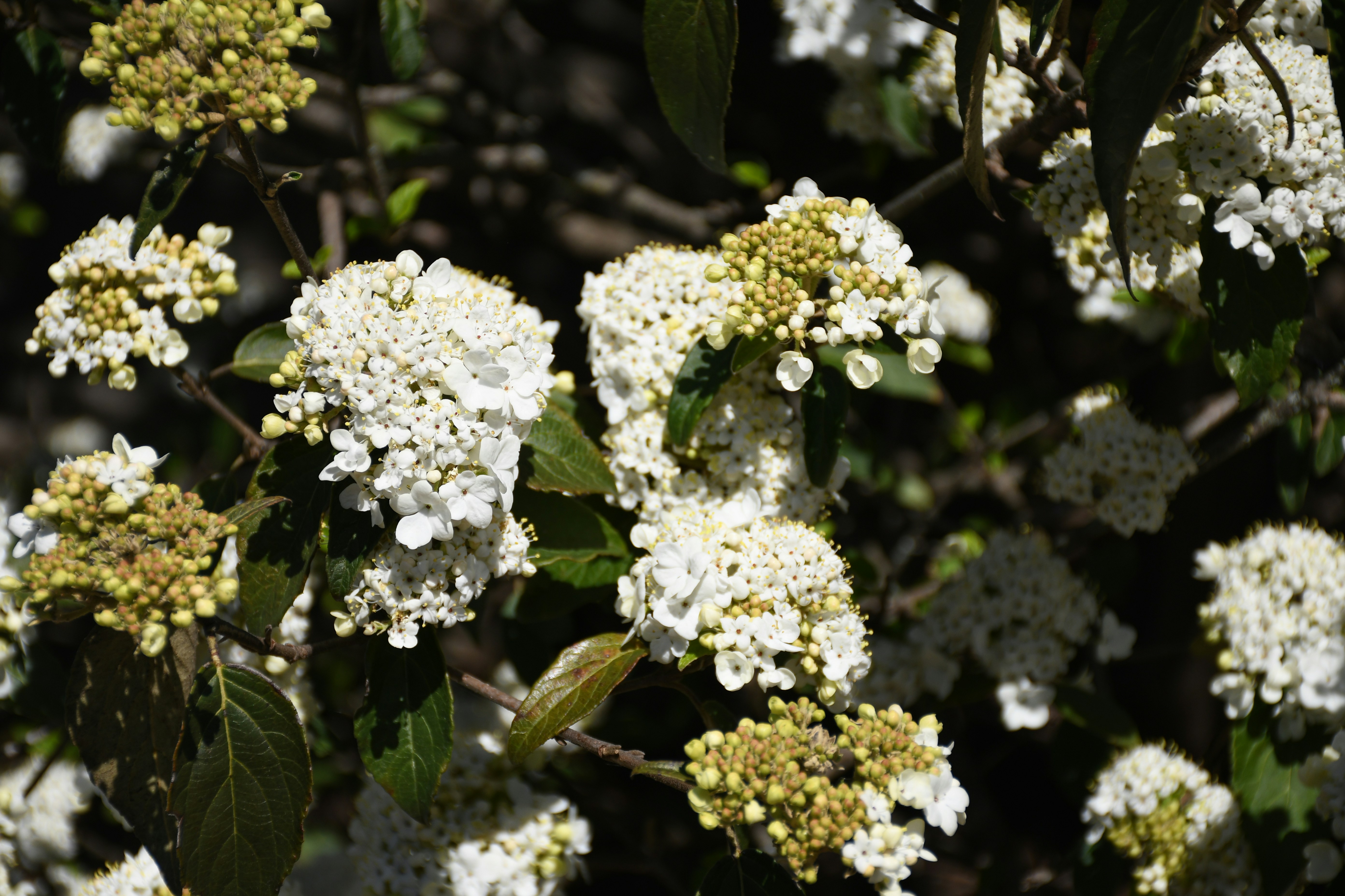 Photo by naturalist_boat