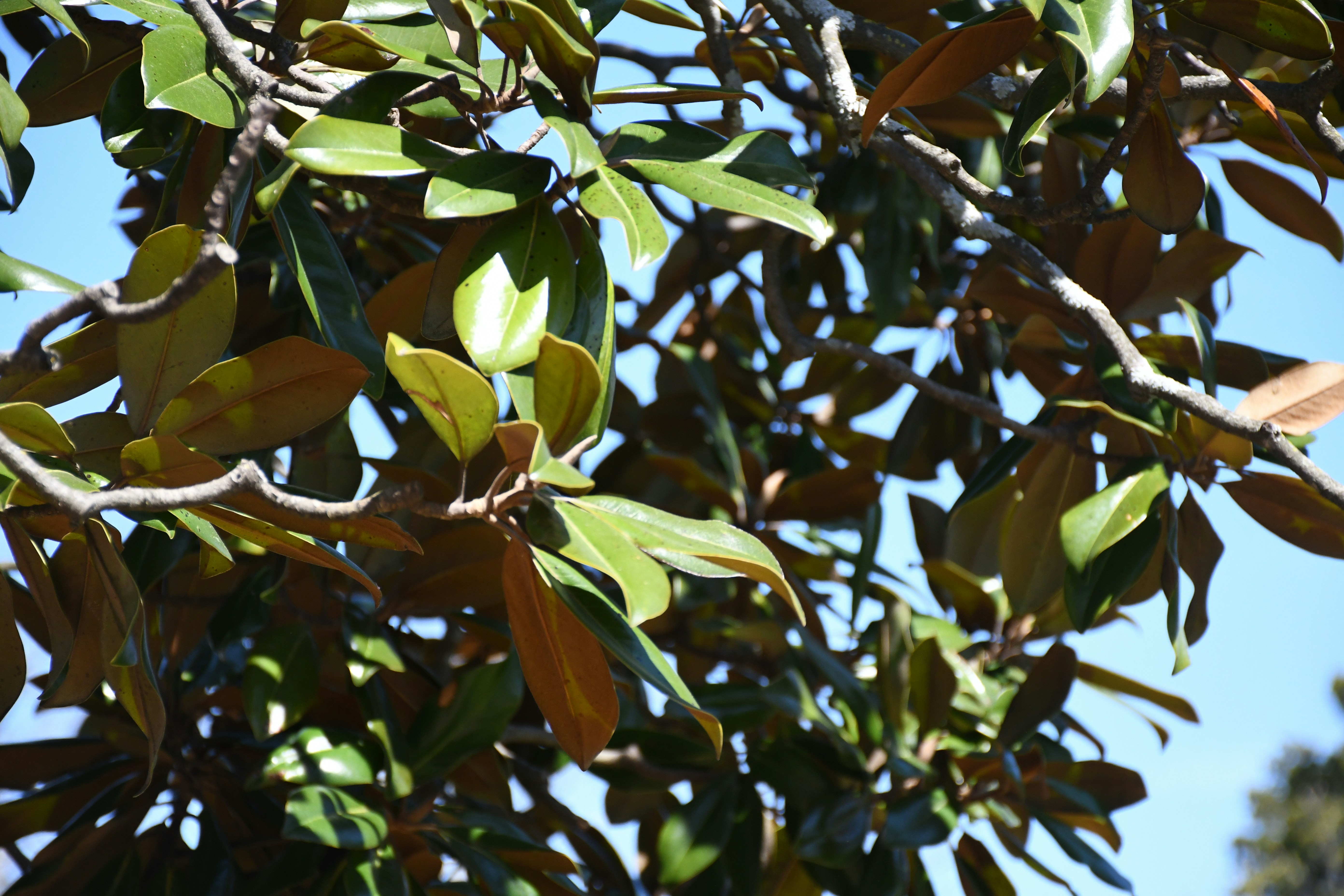 Photo by naturalist_boat