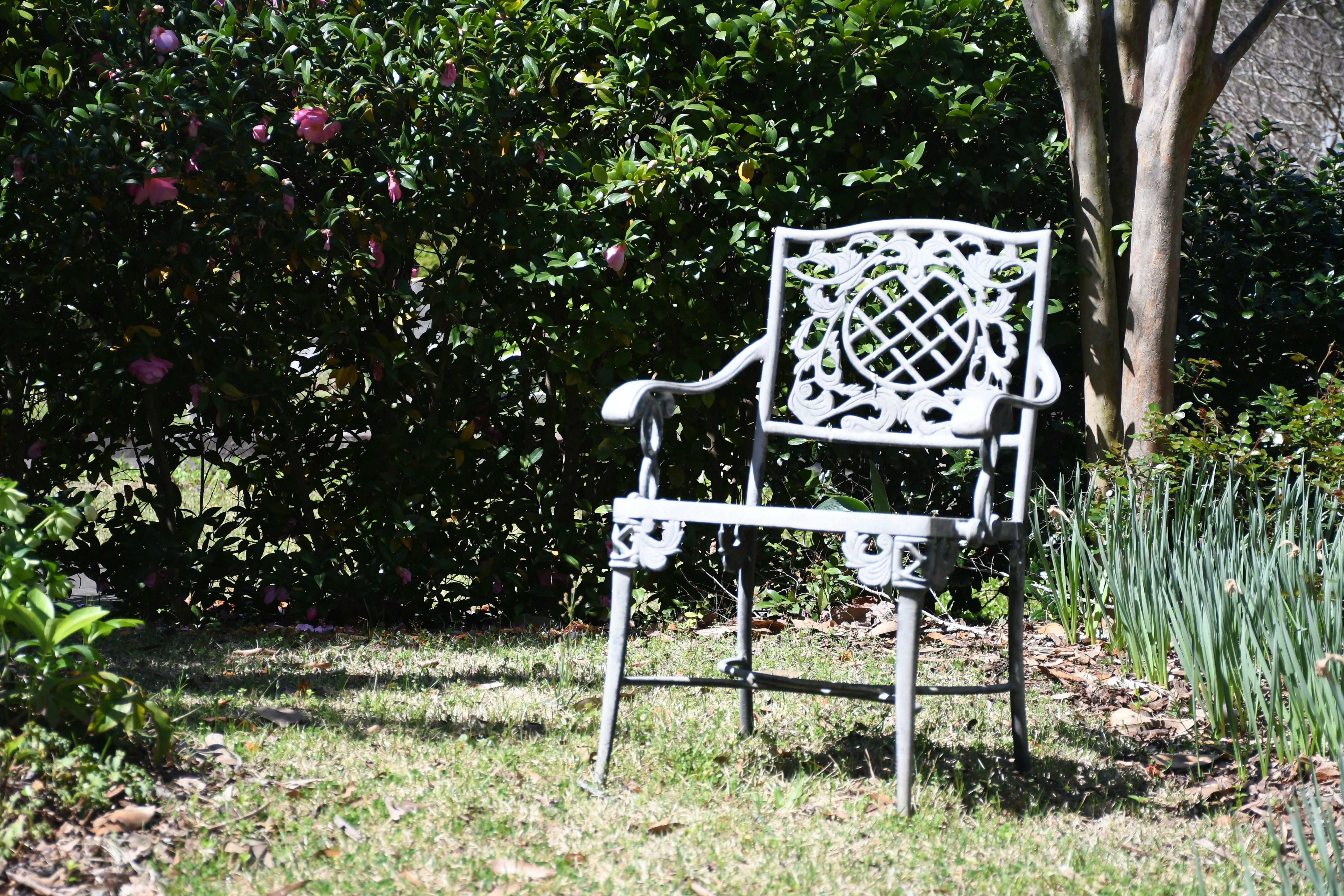 Photo by naturalist_boat